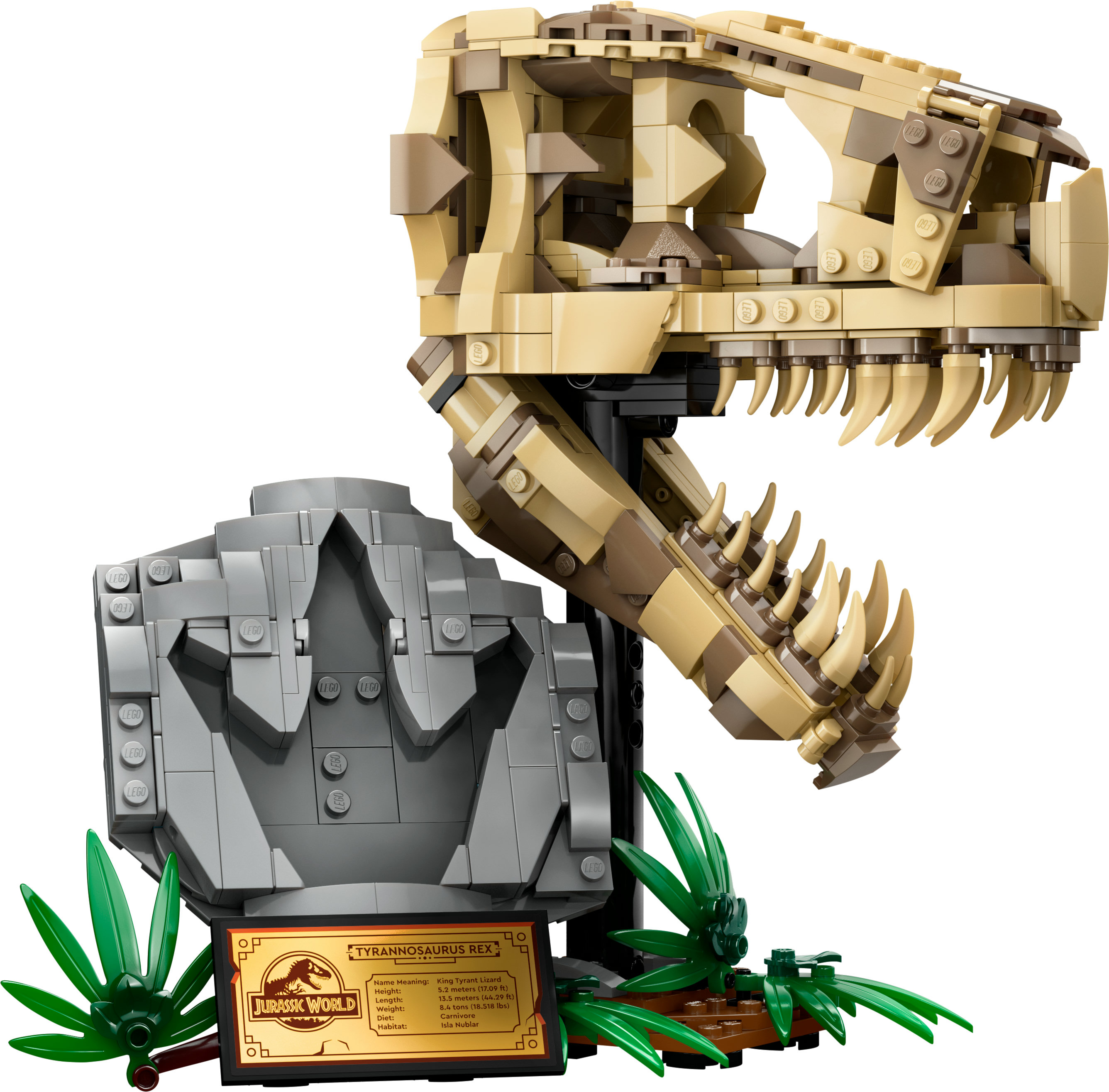 Modelo de esqueleto de Lego Tyrannosaurus Rex con base y letrero, con plantas verdes alrededor.