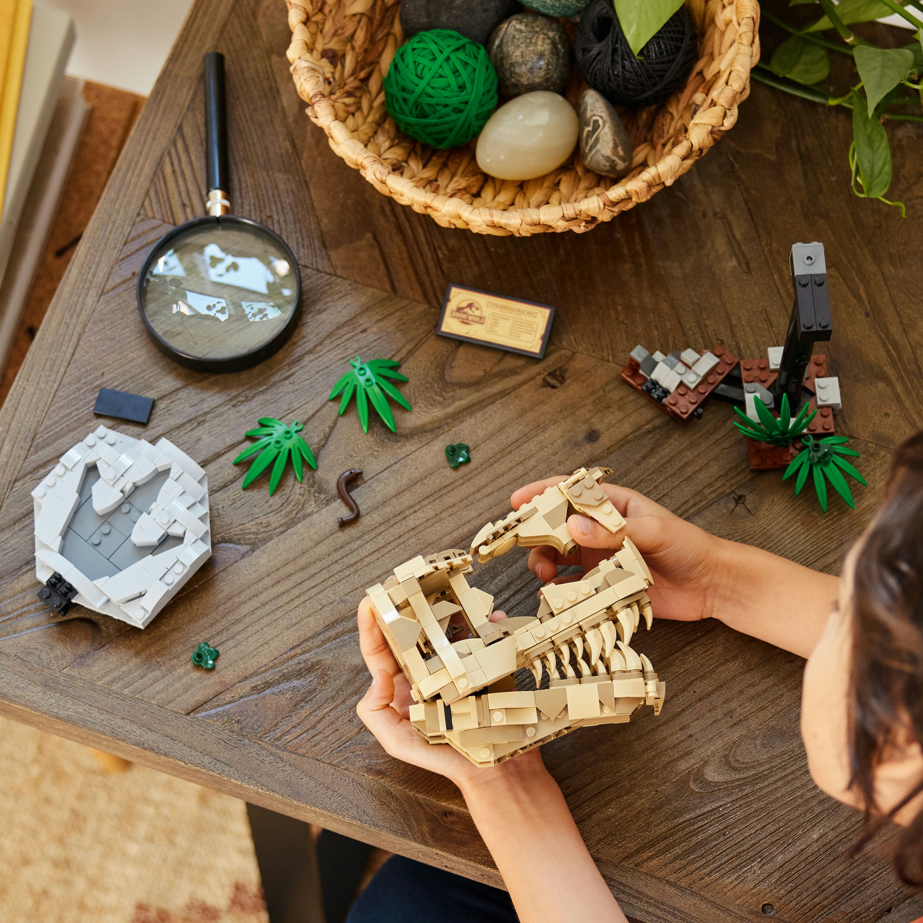 Un niño está construyendo un cráneo de dinosaurio Lego en una mesa de madera con otras piezas de Lego.