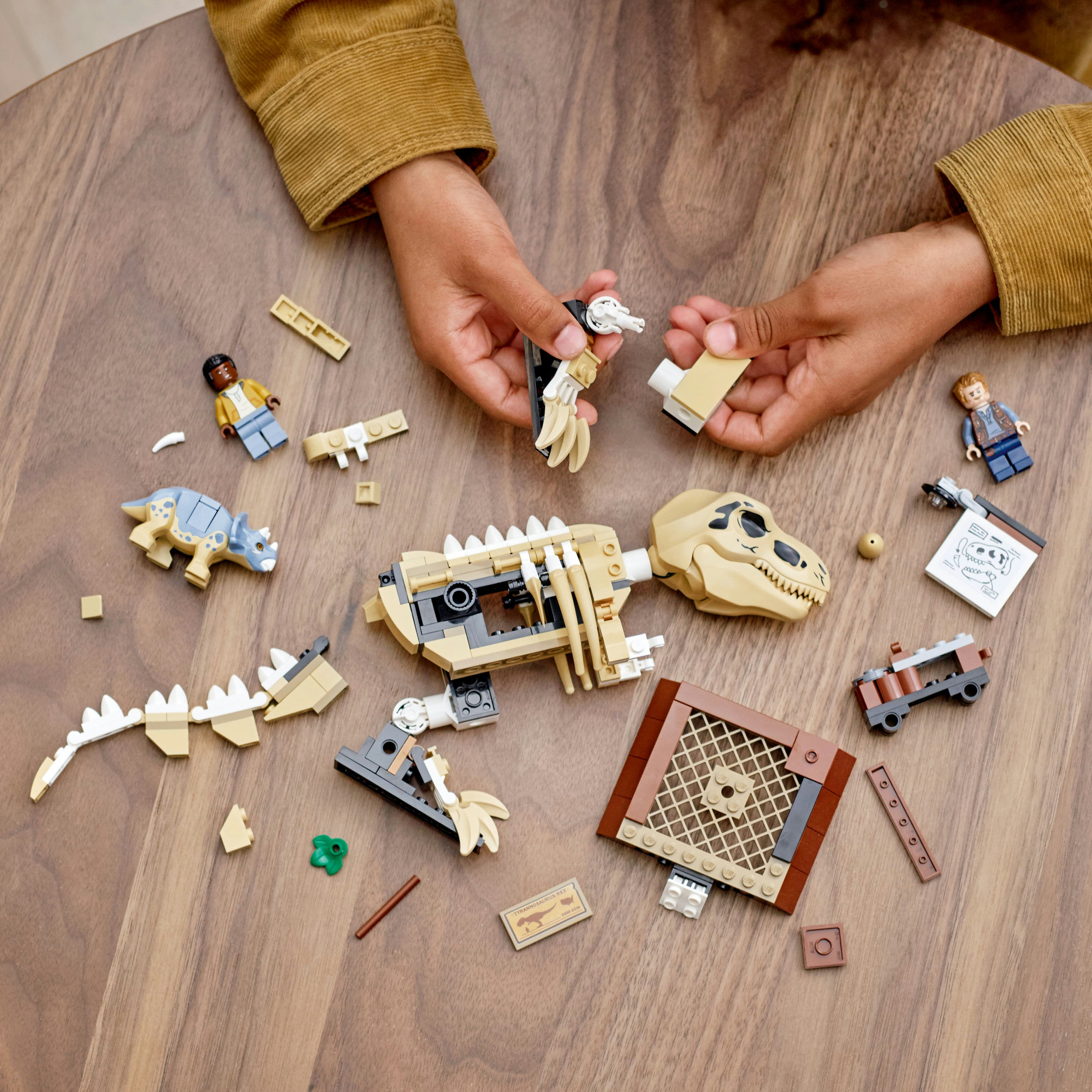 Eine Person, die ein Lego Dinosaurier-Modell mit Figuren und Teilen auf einem Tisch zusammenbaut.