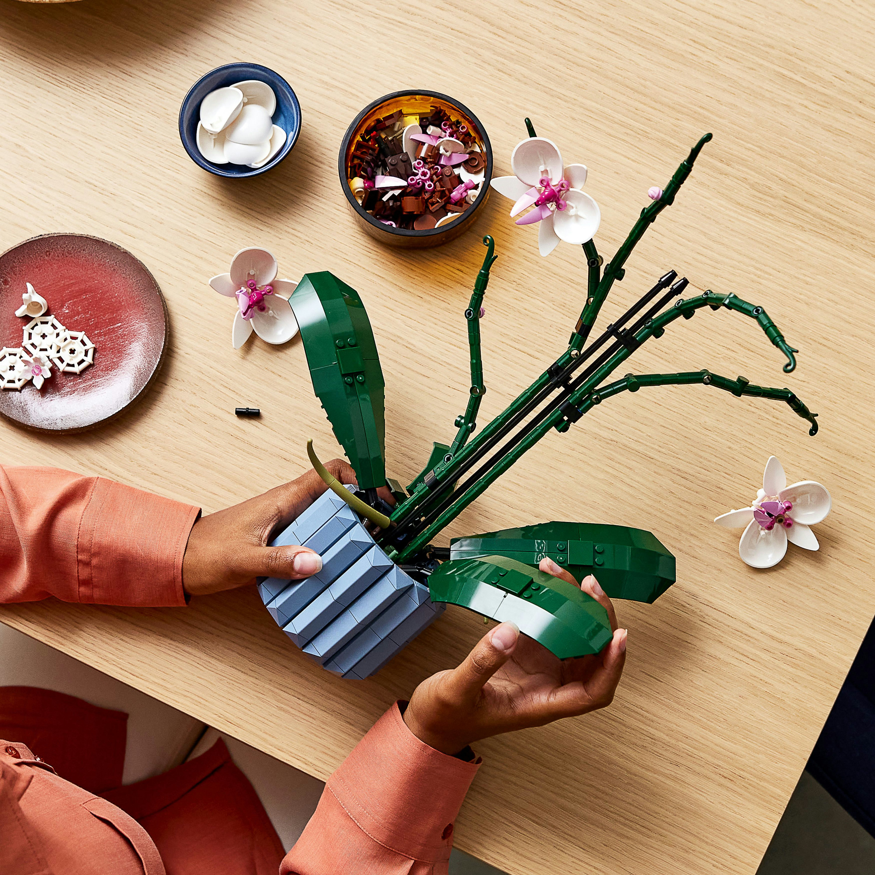 Ręce trzymające niebieską doniczkę Lego z rośliną i kwiatami Lego.