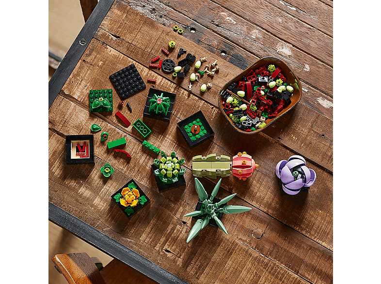 Deto４箱セット Juego de construcción | LEGO Botanicals Succulents - 10309, edad