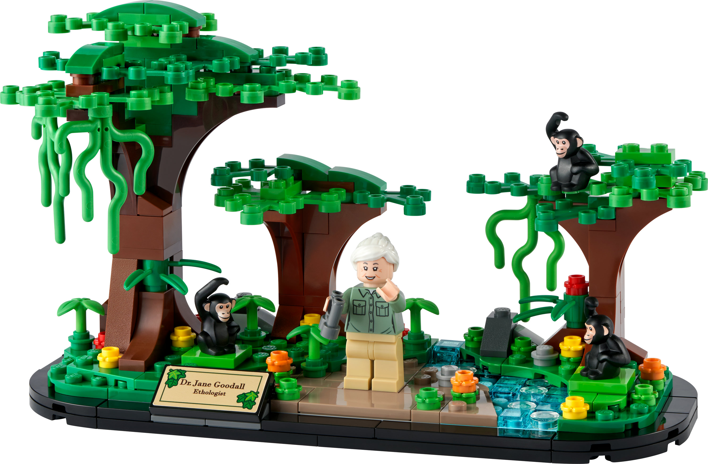 Zestaw Lego z dr Jane Goodall z szympansami w scenerii dżungli z drzewami i strumieniem.