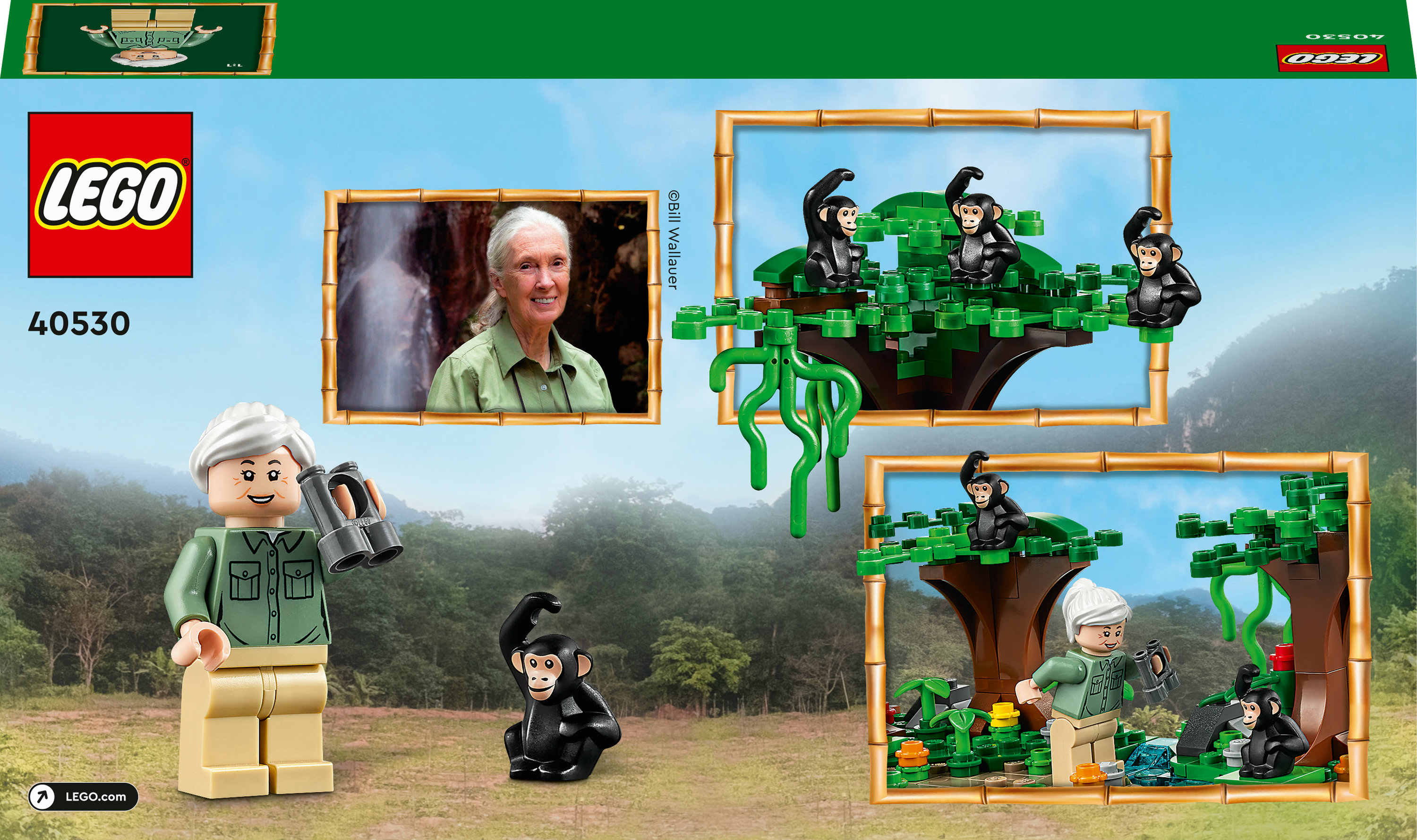 Zestaw LEGO z Jane Goodall, szympansami i sceną w dżungli.