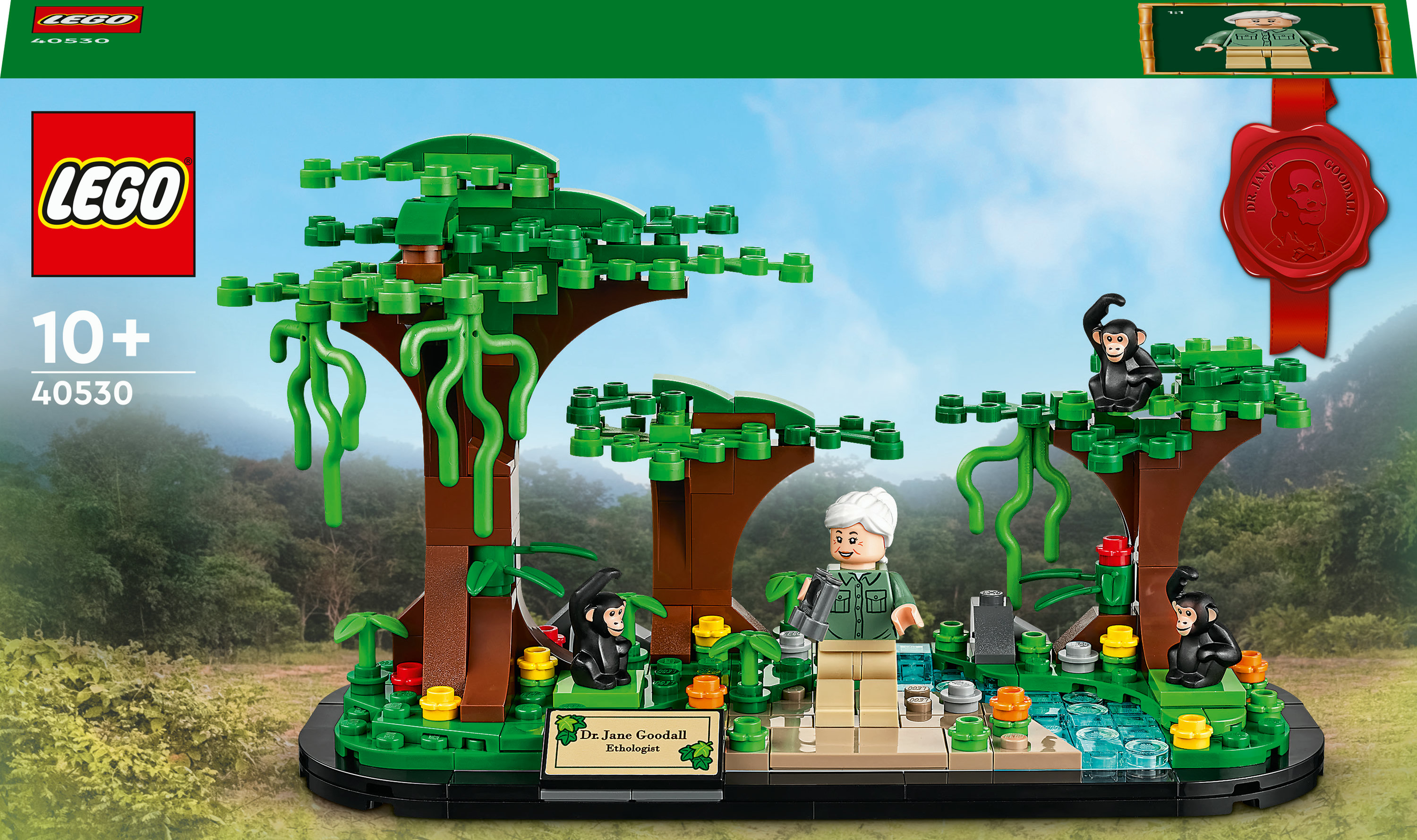 Zestaw Lego z Jane Goodall i szympansami. Scena zawiera drzewa, rzekę i figurkę Jane Goodall.
