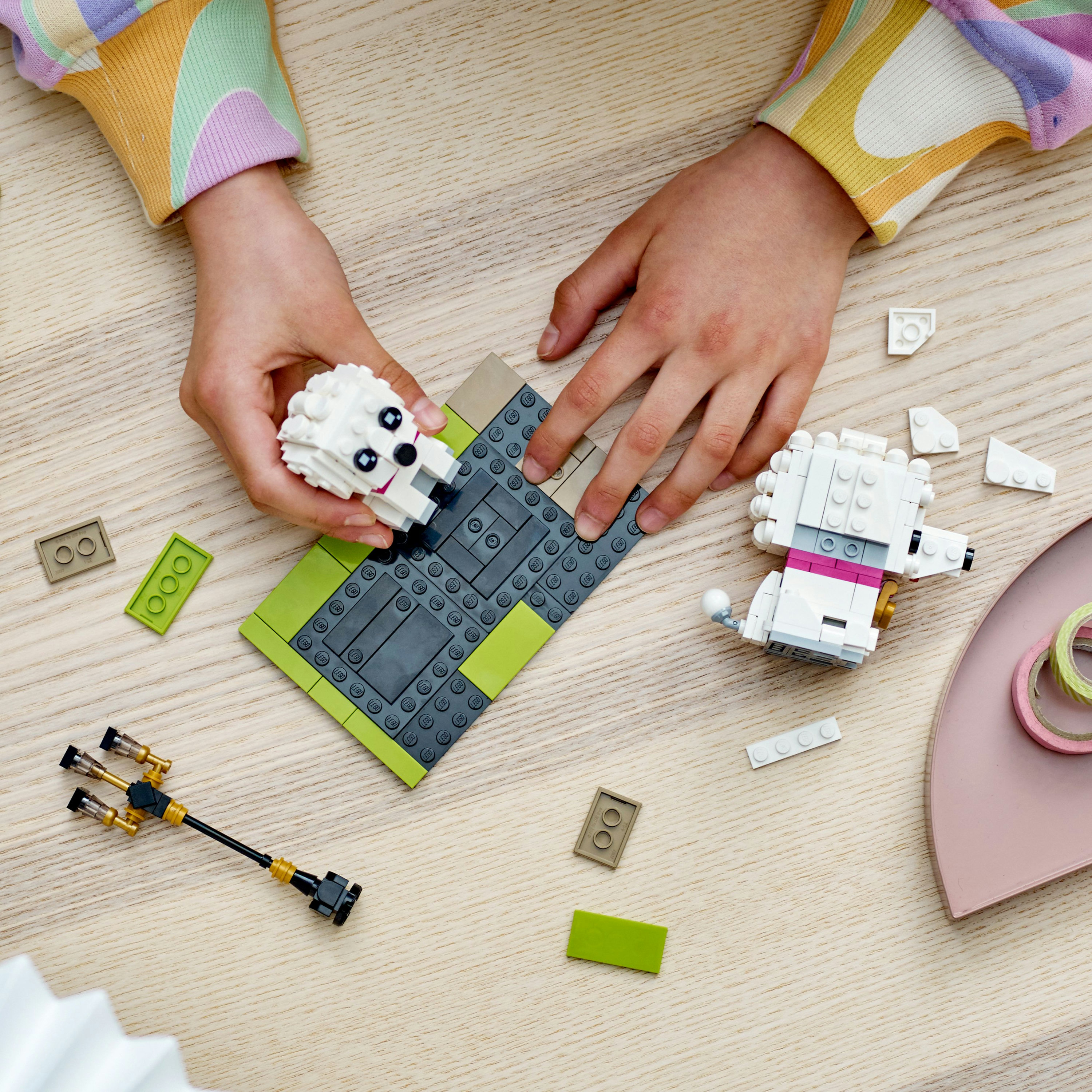 Ein Kind baut einen LEGO-Hund mit grauer Basis, umgeben von LEGO-Teilen.