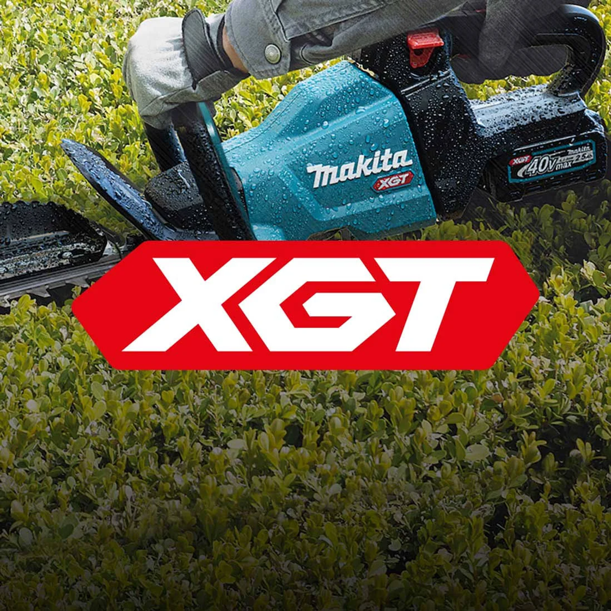 Eine Person benutzt eine Makita XGT Heckenschere an einer grünen Hecke.
