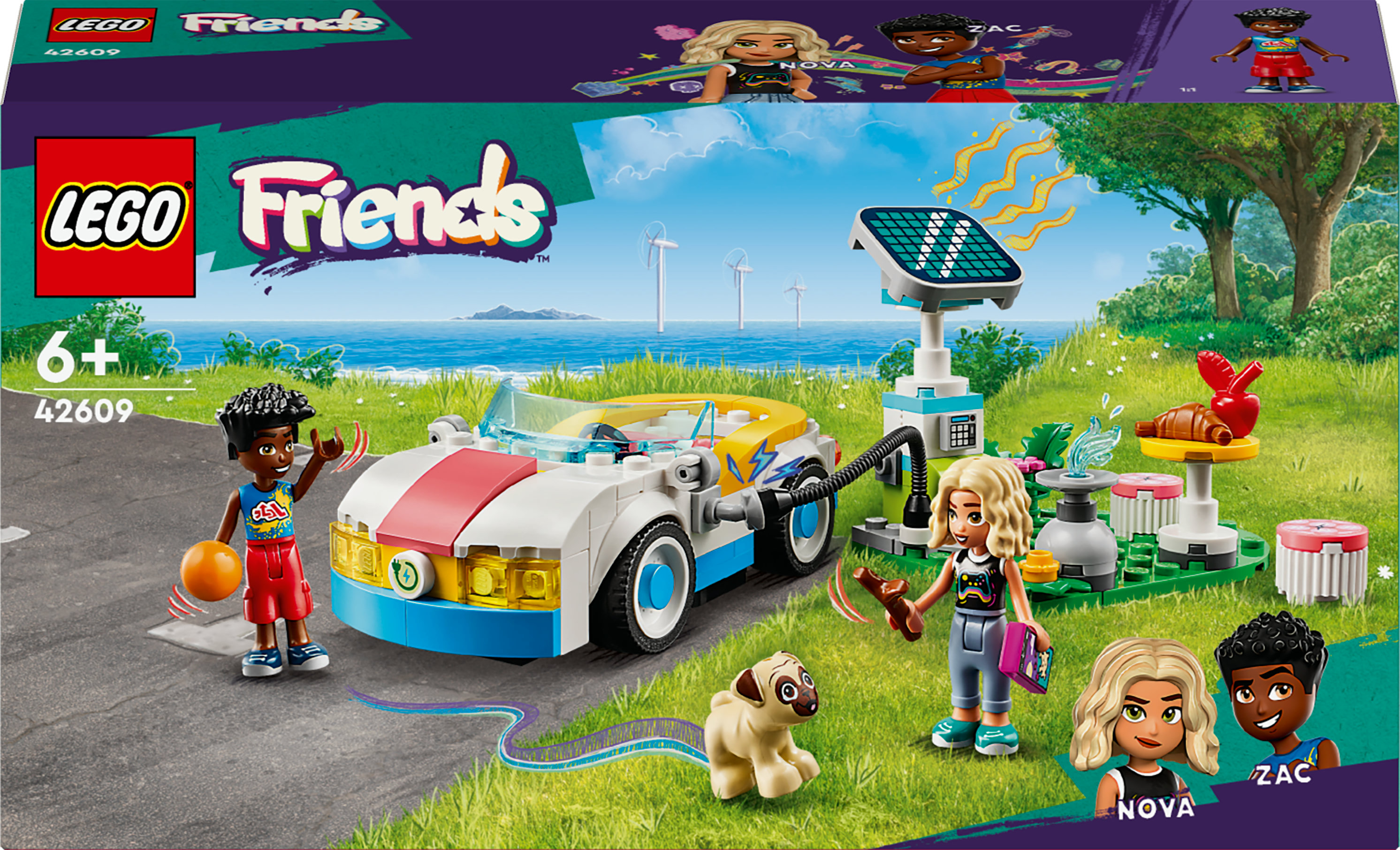 Lego Friends-doos met een auto, figuren en een windmolen. Er is ook een hond aanwezig. De scène heeft een groene achtergrond.