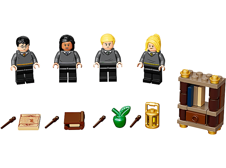 LEGO Harry Potter Hogwarts Students Accessory Set 40419