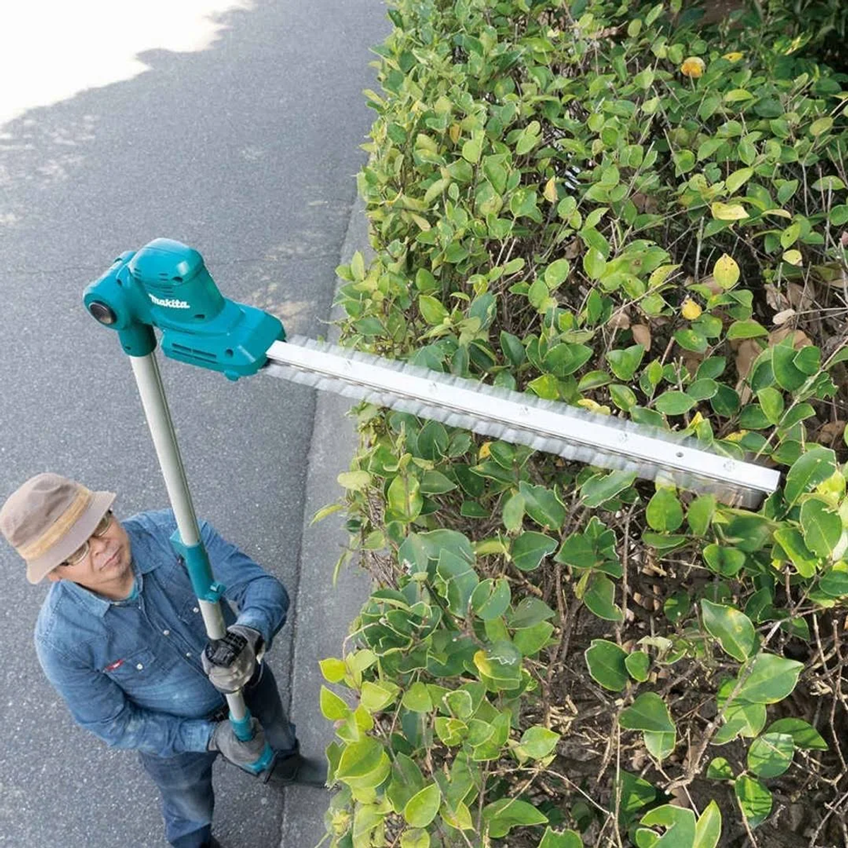 Hombre usando cortasetos Makita turquesa y gris en arbusto verde, al aire libre.