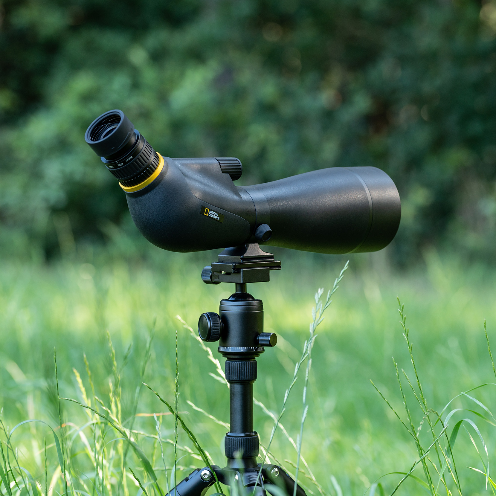 Telescopio terrestre negro sobre trípode en hierba alta. Anillo amarillo alrededor de la lente.