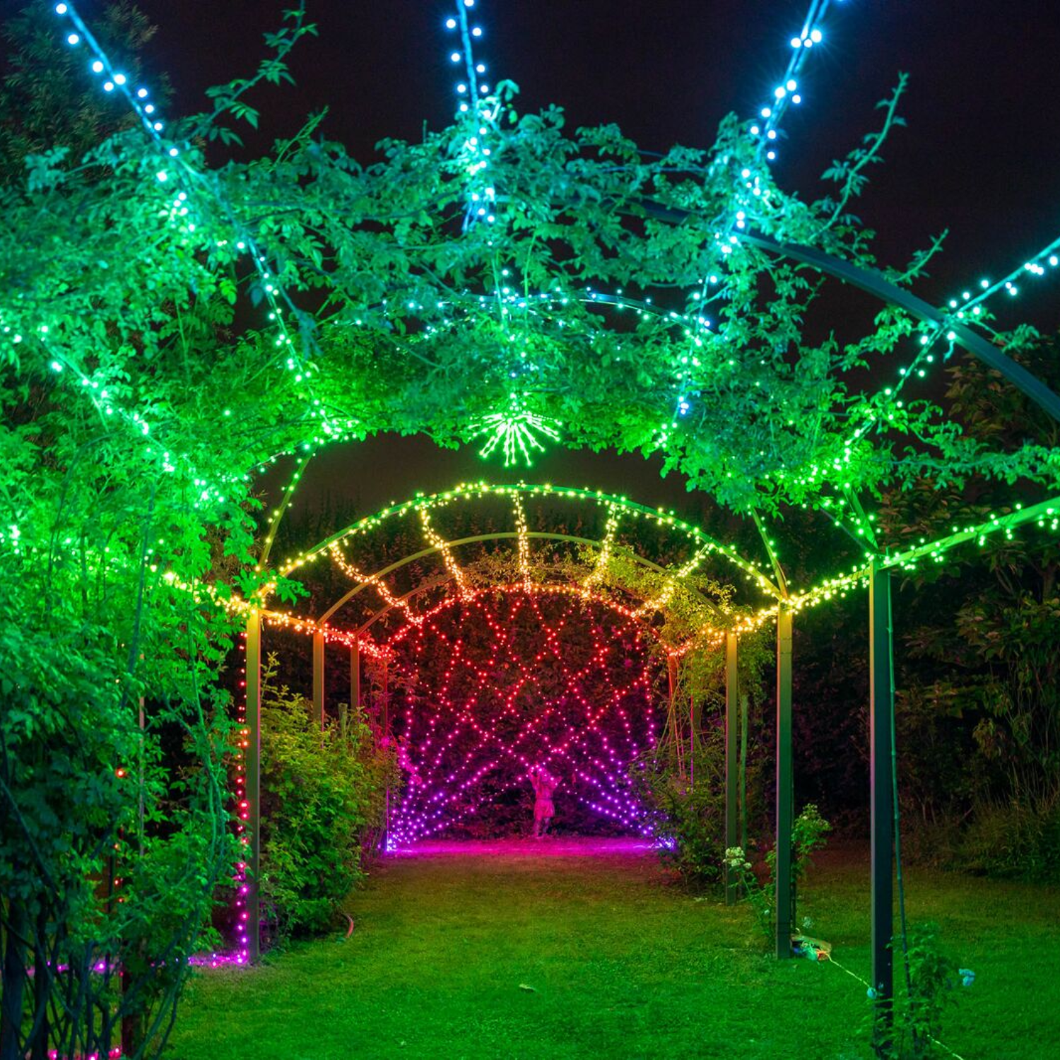 Nocna scena łuku ogrodowego z kolorowymi światłami oświetlającymi ścieżkę.
