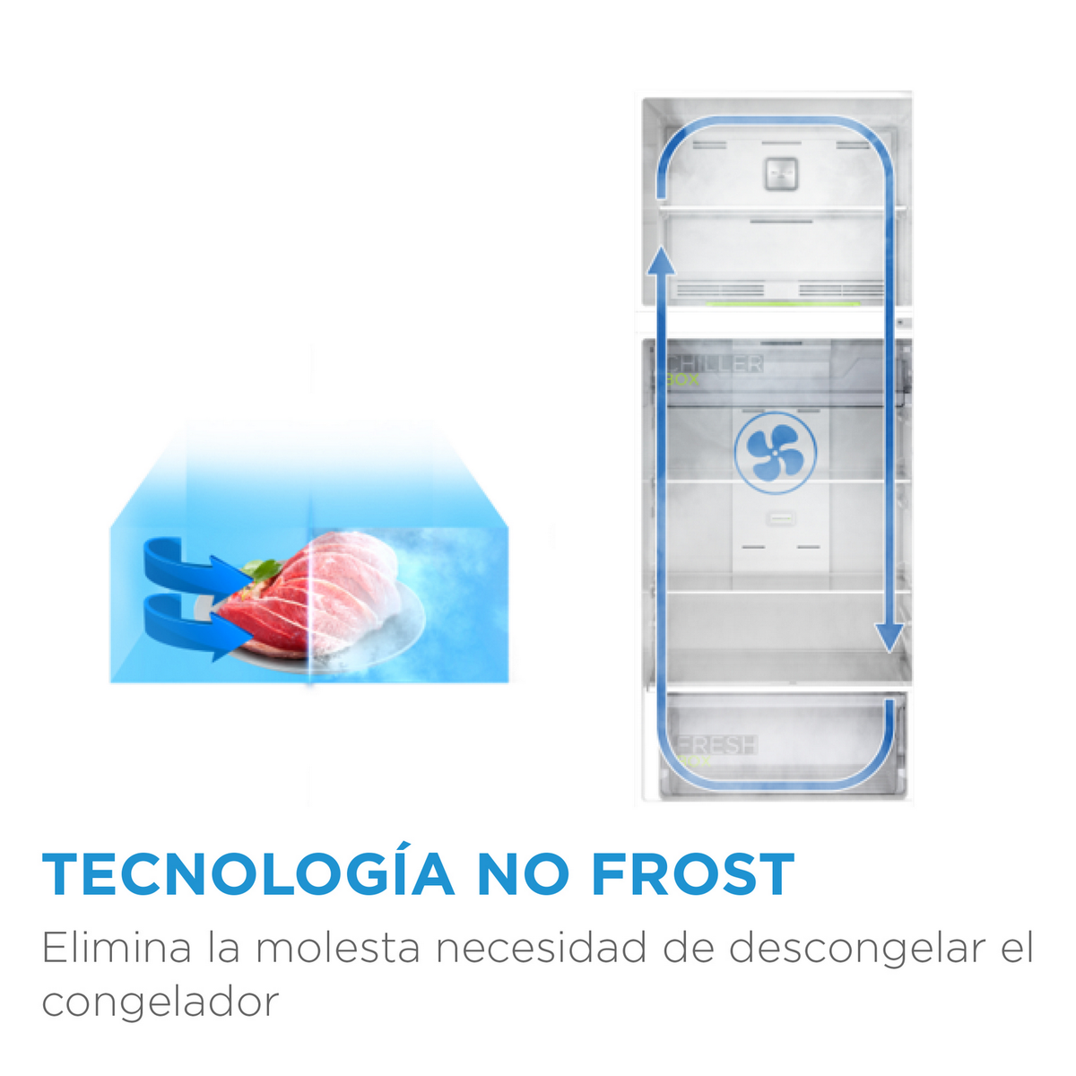Diagram van een koelkast met de vriezer en vers voedsel compartimenten. Tekst: No Frost technologie.