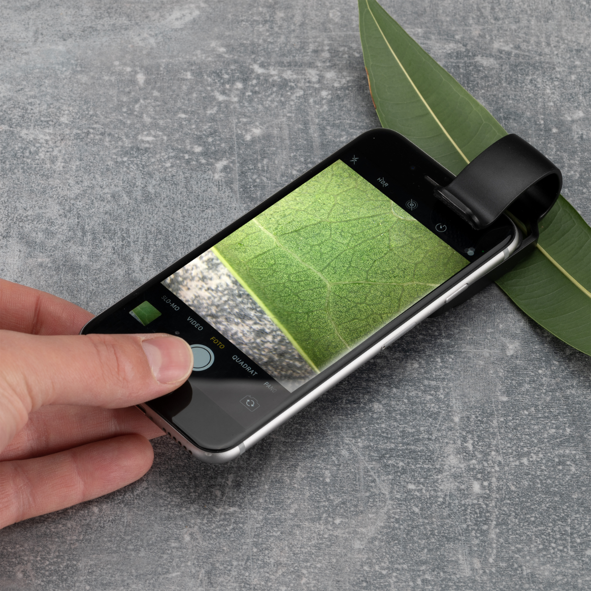 Un teléfono está tomando una foto de una hoja. Una mano sostiene el teléfono sobre una superficie gris.