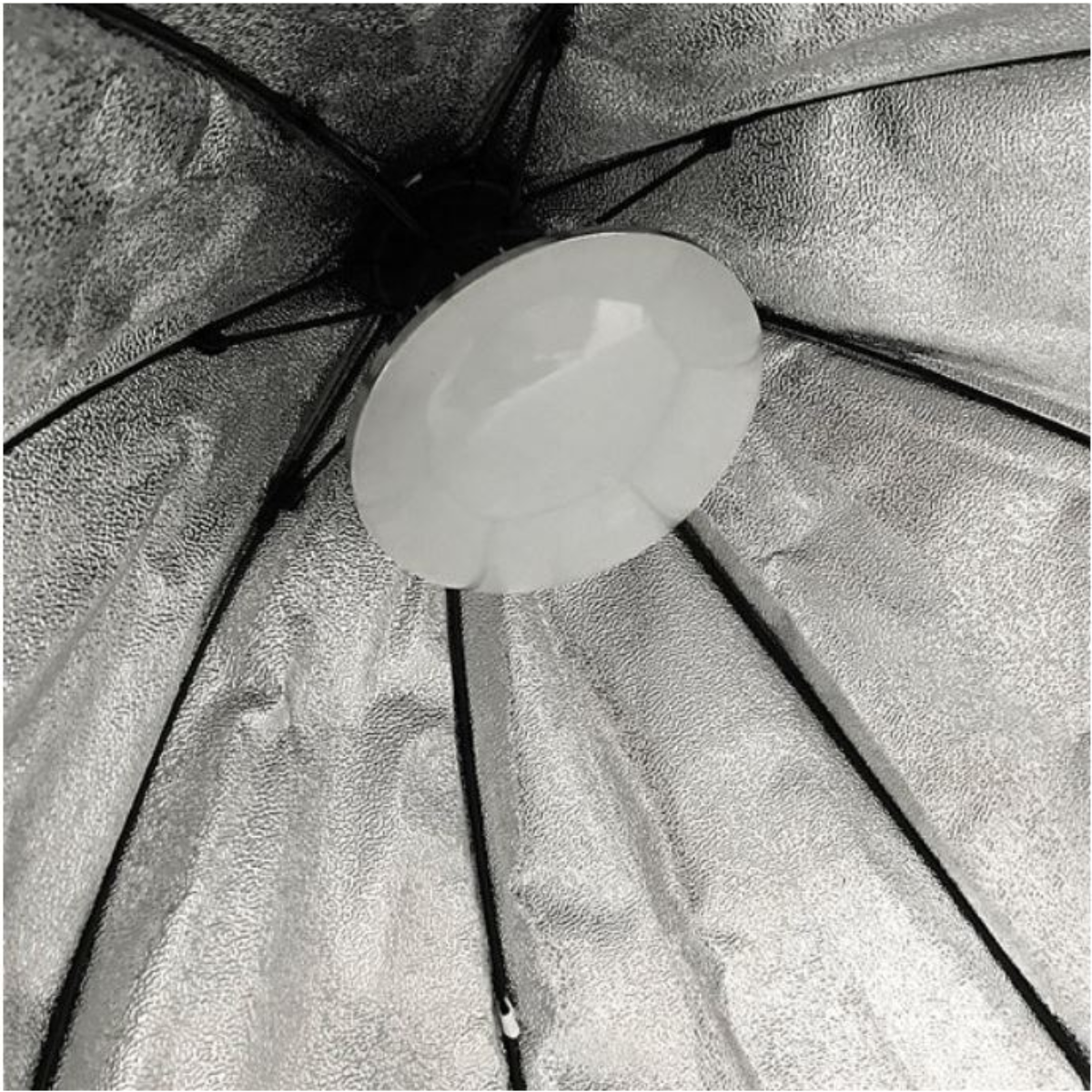 Vista cenital de una luz de softbox con una bombilla blanca en el centro, interior plateado.