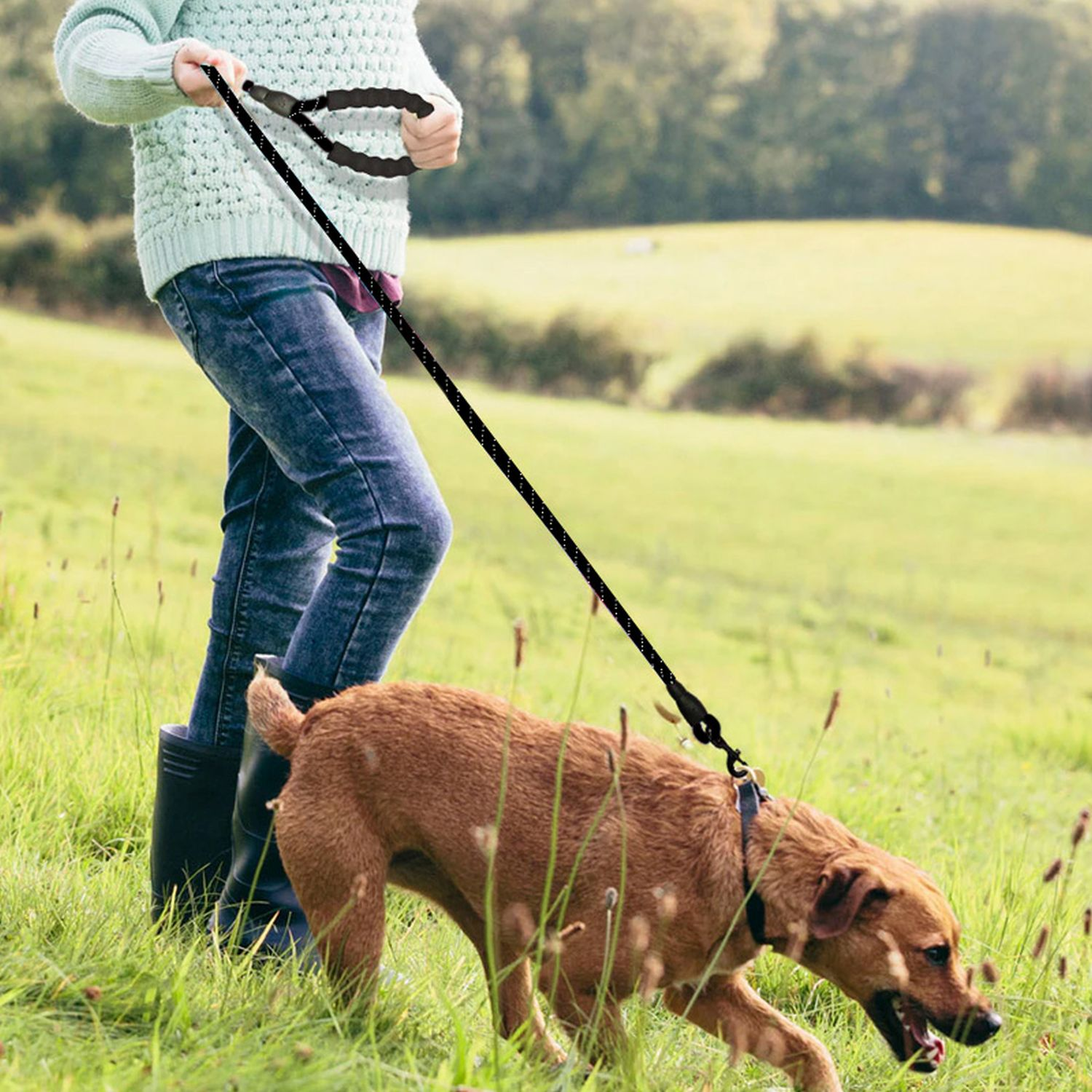 Eine Person, die einen braunen Hund an der Leine durch eine Wiese führt.