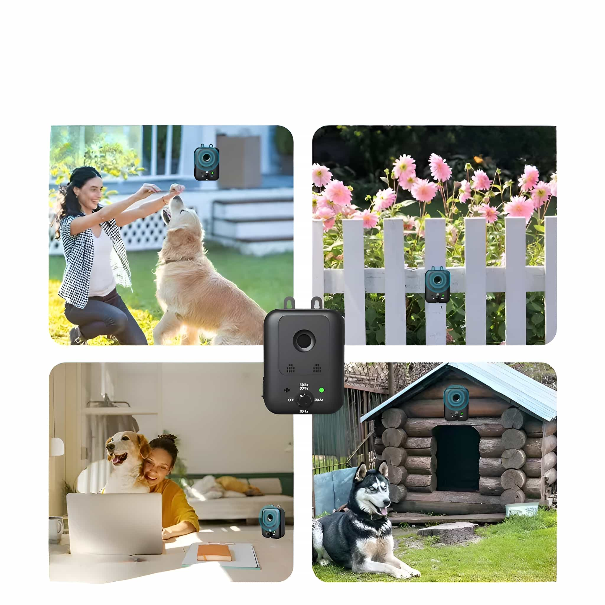 Mehrere Bilder von Hunde-Trainings- und Überwachungsgeräten in verschiedenen Umgebungen, drinnen und draußen.