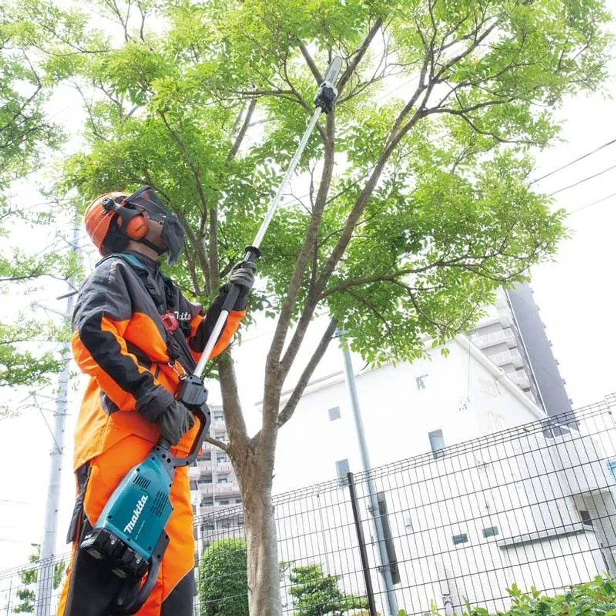 Mann in orangefarbener Arbeitskleidung, der ein langstieliges Makita-Werkzeug zum Beschneiden eines Baumes benutzt.