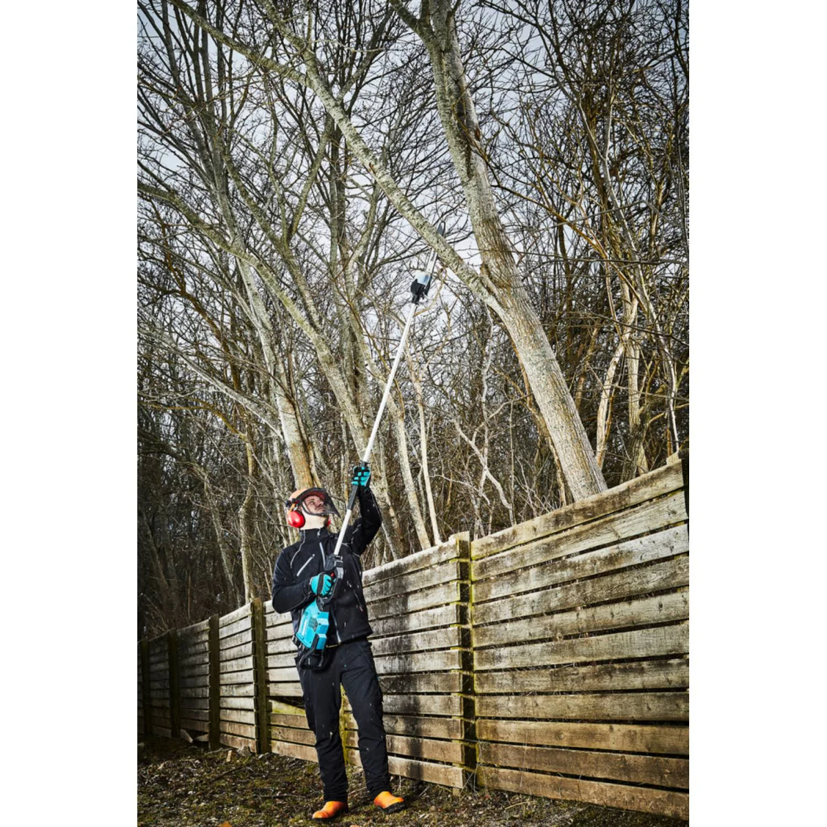 Eine Person beschneidet einen Baum mit einer Stangensäge. Sie trägt Schutzkleidung und steht an einem Zaun.
