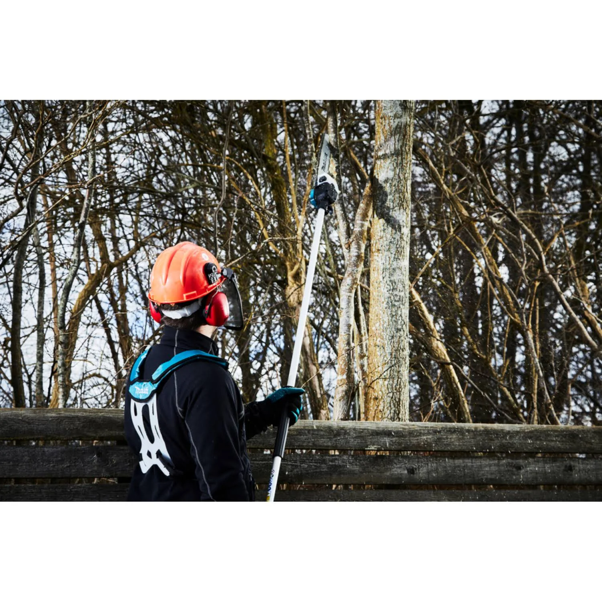 Eine Person in Sicherheitsausrüstung benutzt eine Stangensäge an einem Baum in einem Waldgebiet.