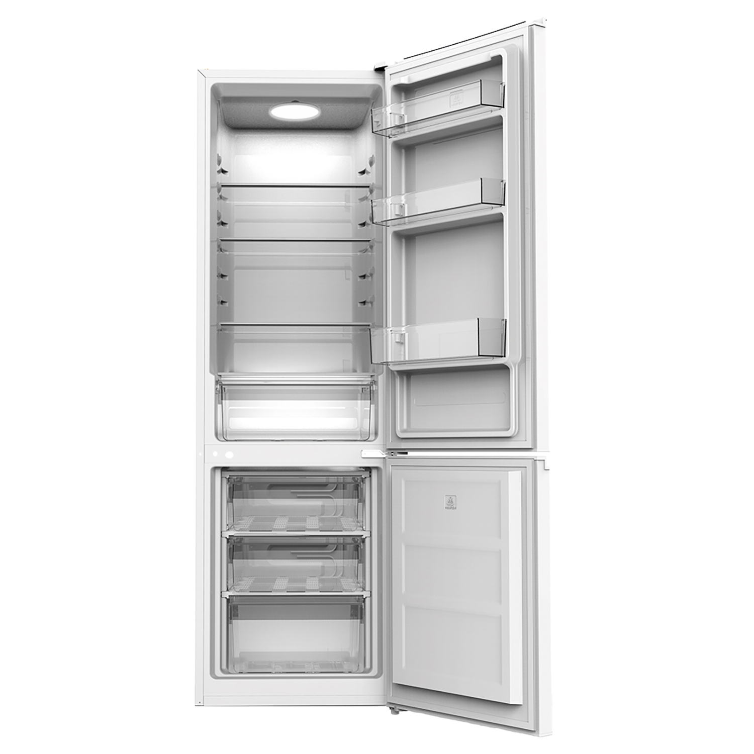 Frigorifero bianco, aperto. All'interno ci sono ripiani, cassetti e una luce. La porta superiore del congelatore è aperta.