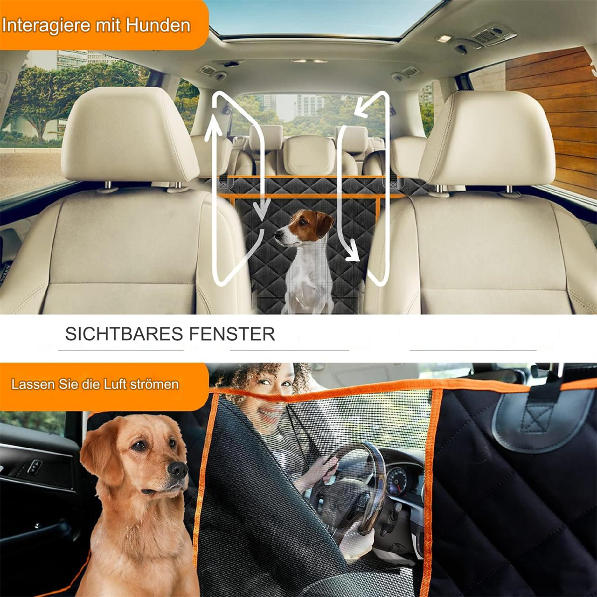 Auto innen mit Hunden hinten. Frau fährt, Hund auf dem Rücksitz. Text sagt, mit Hunden interagieren und frische Luft.