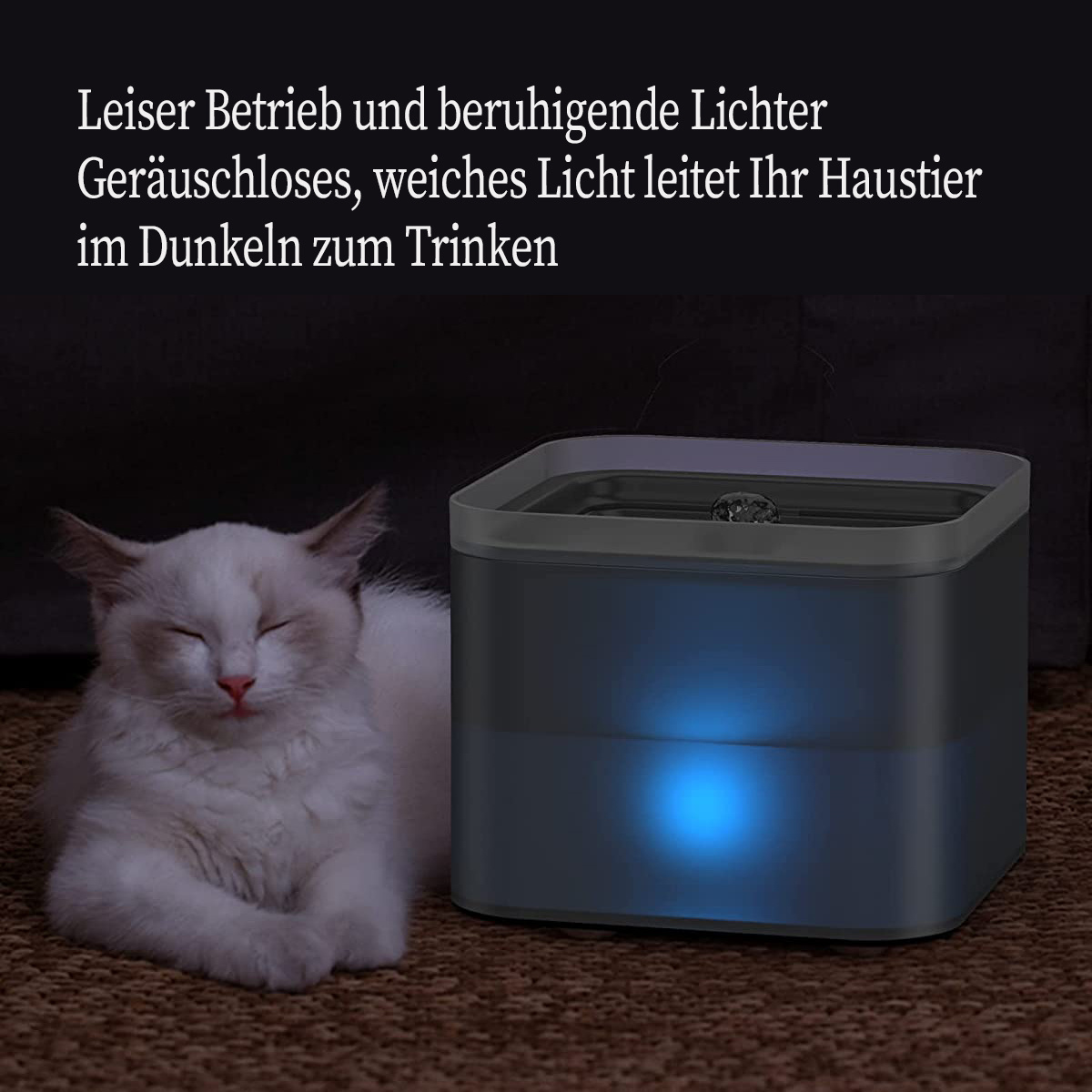 Katze trinkt aus einem Haustierbrunnen mit blauem Leuchten, mit deutschem Text.