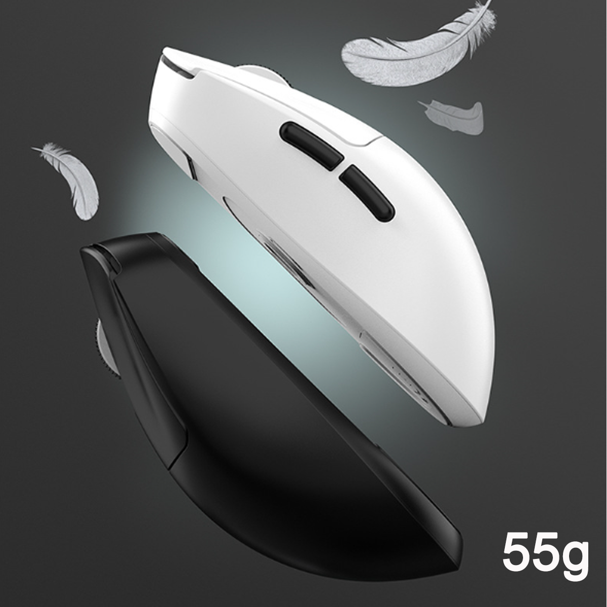Zwei Computermäuse, eine schwarze und eine weiße, mit Federn, die um sie herum schweben. 55g unten rechts.