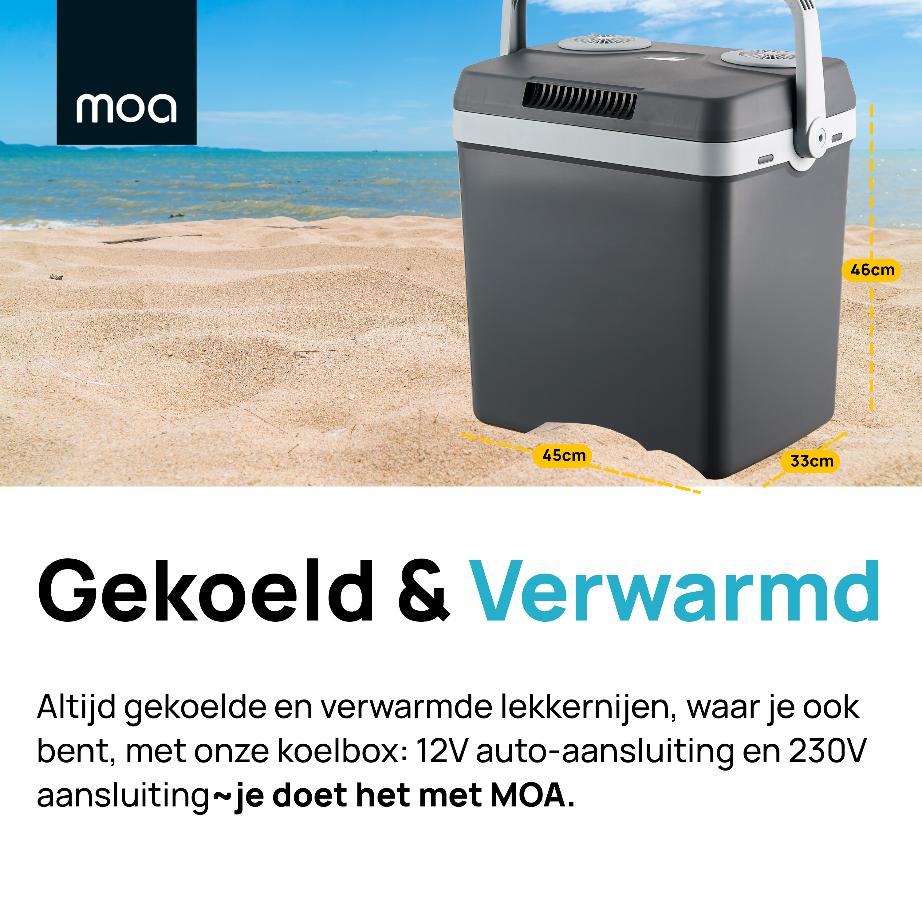A black and grey cooler on a beach. Text in Dutch. Shows dimensions.