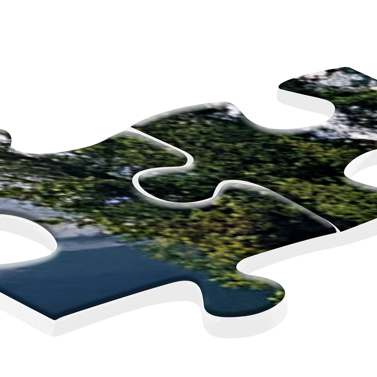 Pezzi di puzzle che mostrano un'immagine sfocata di un albero verde e un lago blu, su sfondo bianco.