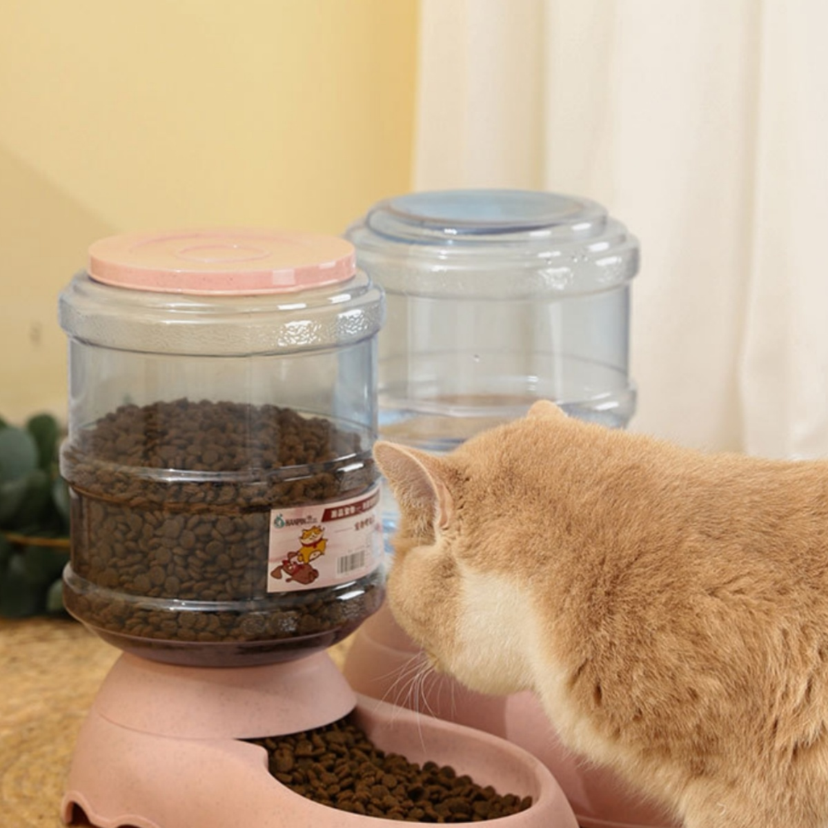 Katze frisst aus einem rosa Katzenfutterspender. Zwei transparente Wasserbehälter.
