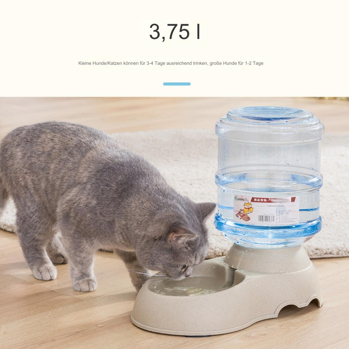 Eine Katze trinkt aus einem Wasserspender. Der Spender hat einen Wassertank und eine Schüssel.