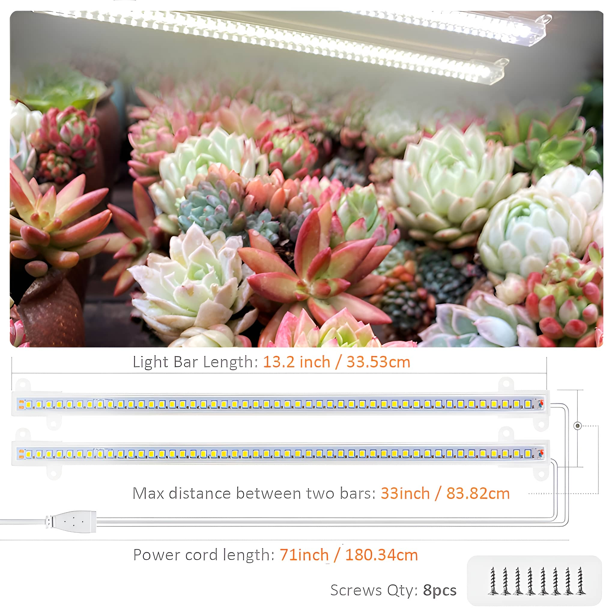 Sukkulenten unter einer Lichtleiste. Die Lichtleiste ist weiß, mit Abmessungen in Zoll und cm.