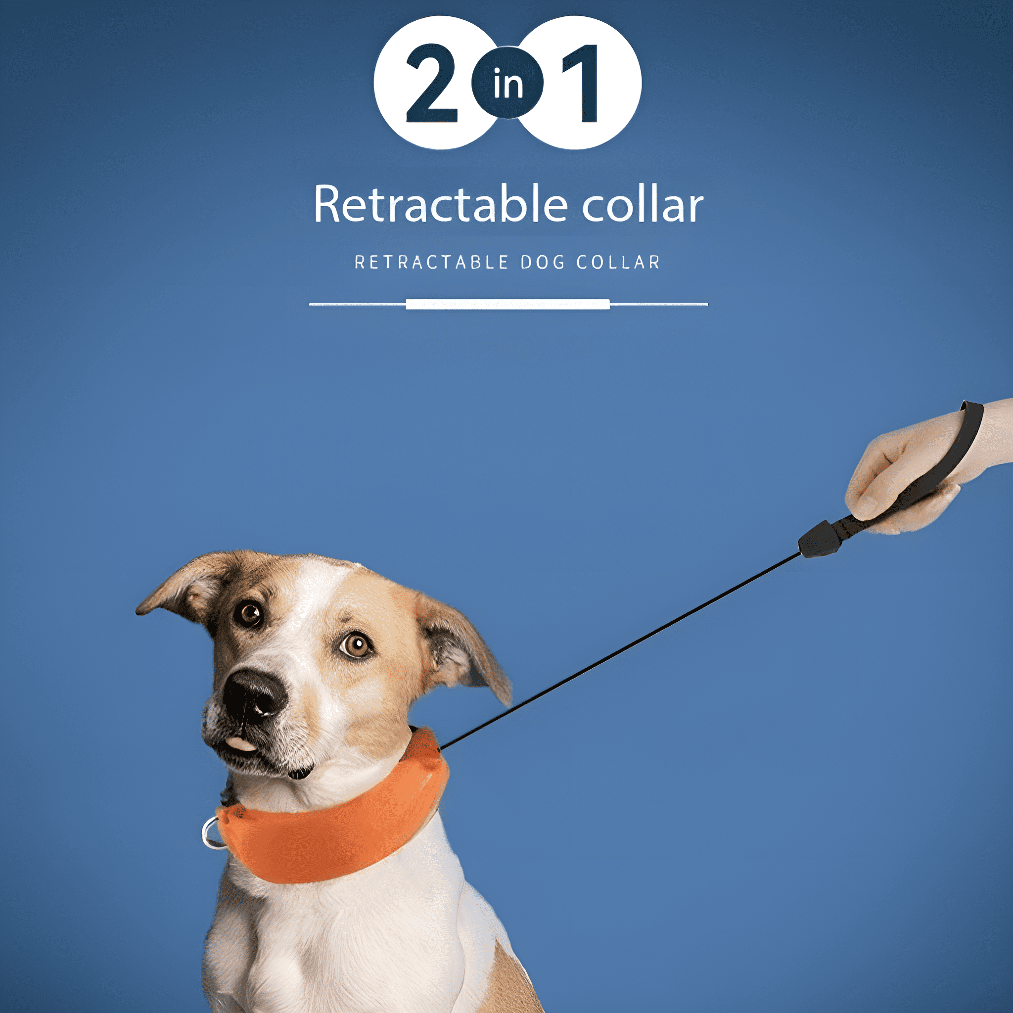 Hund mit orangefarbenem Halsband und einziehbarer Leine, die von einer Hand gehalten wird. Blauer Hintergrund.