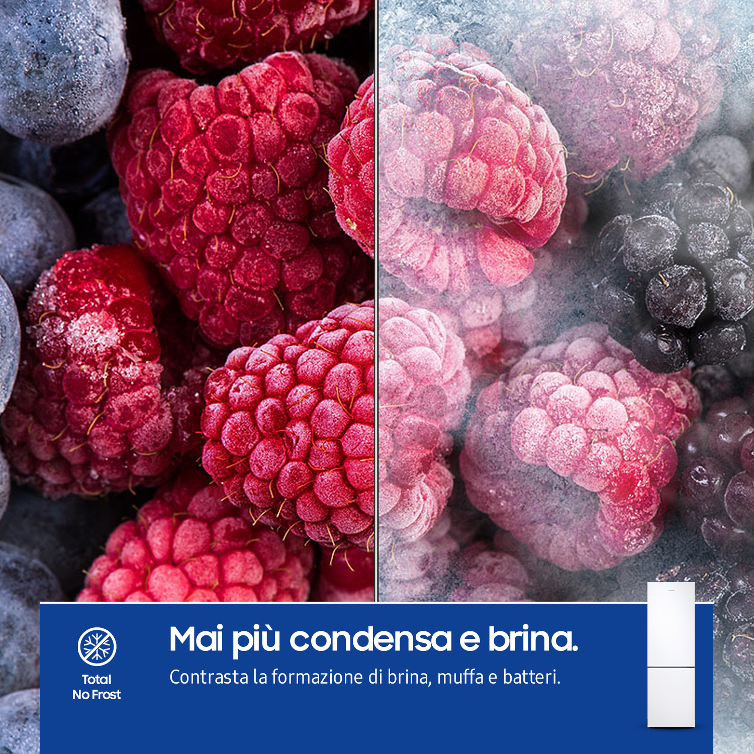 Zbliżenie zamrożonych malin i jeżyn. Tekst mówi: 'Mai più condensa e brina' (Koniec z szronem).