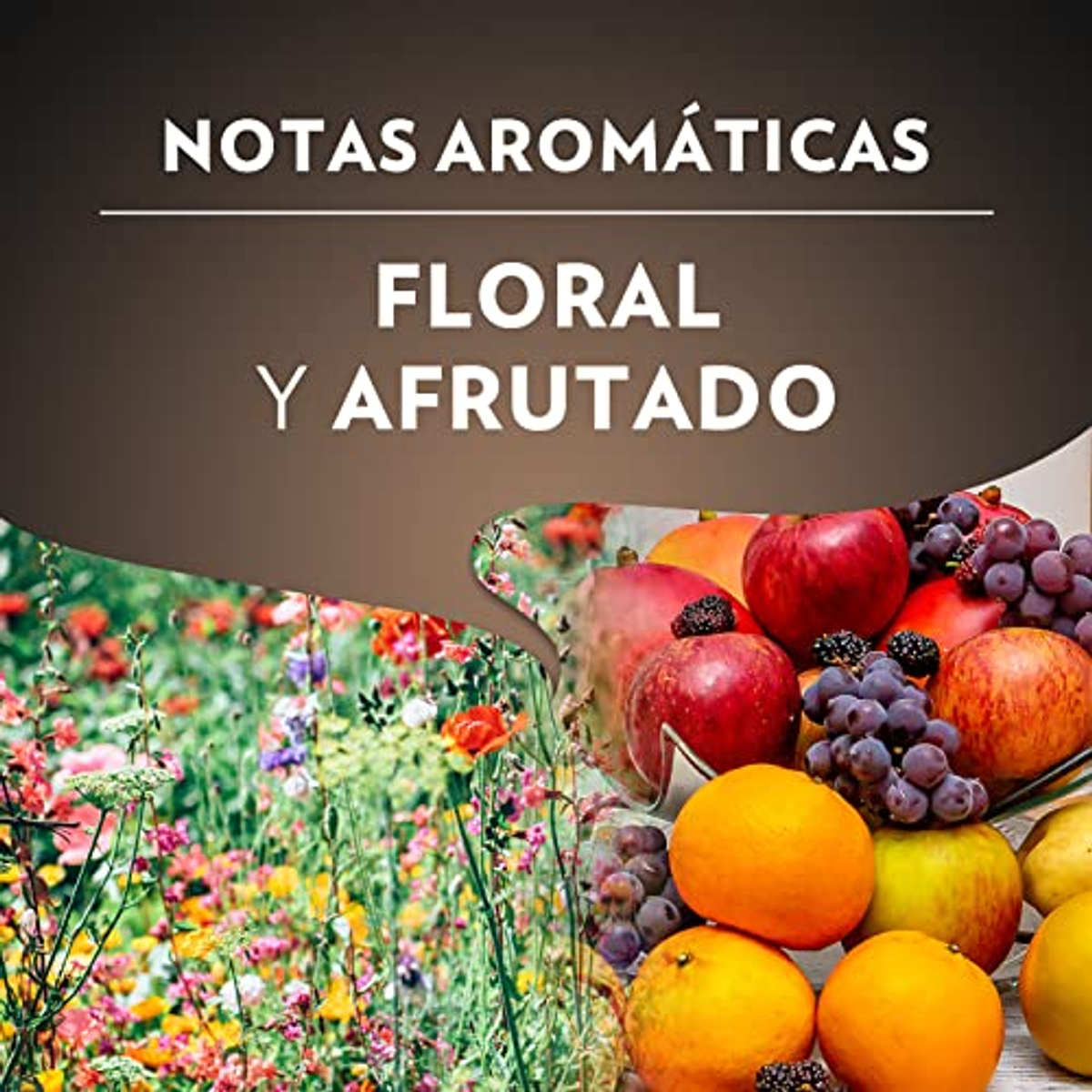 Eine florale und fruchtige Darstellung mit verschiedenen Früchten und Blumen.