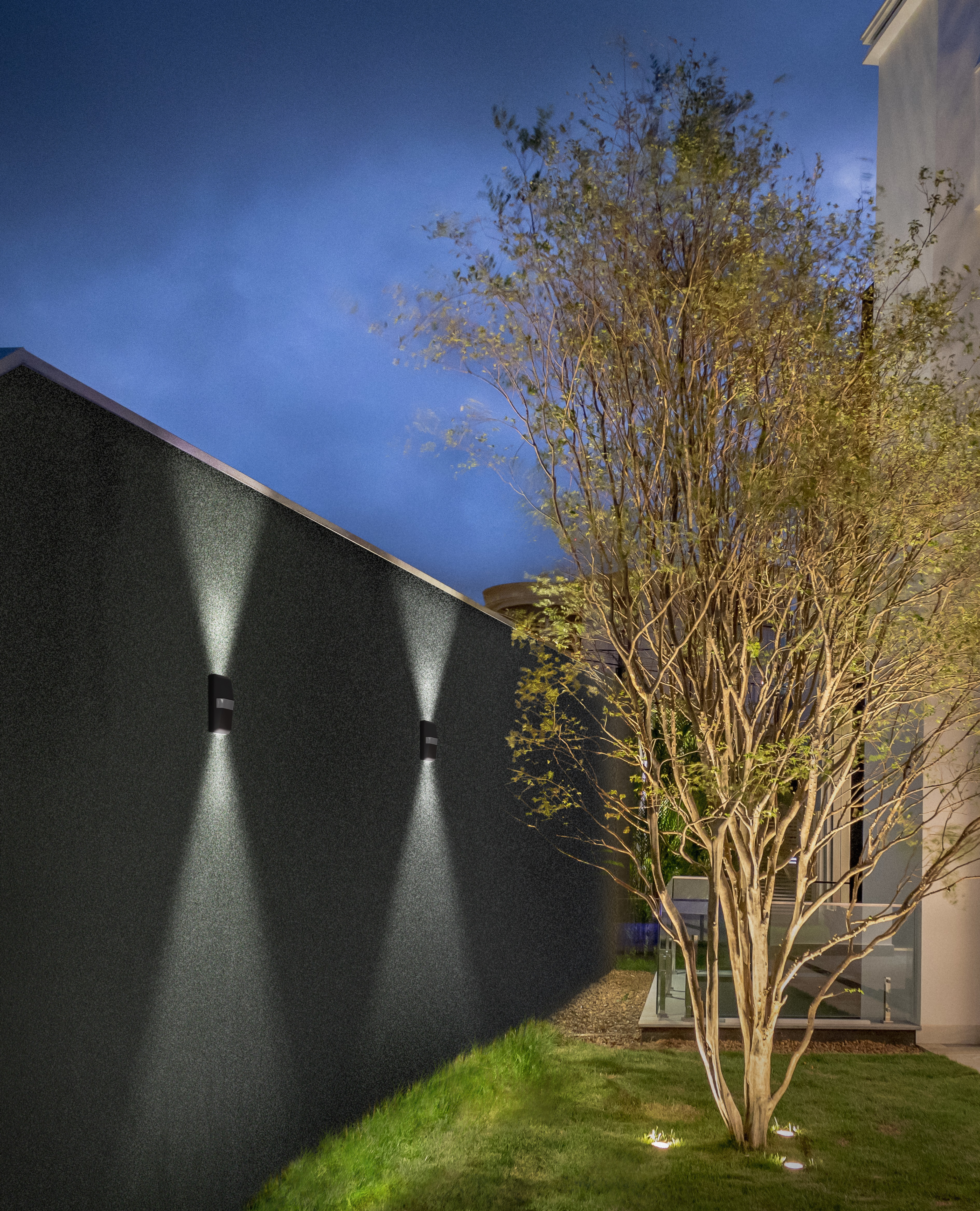 Illuminazione esterna su un muro in stucco con un albero di fronte.