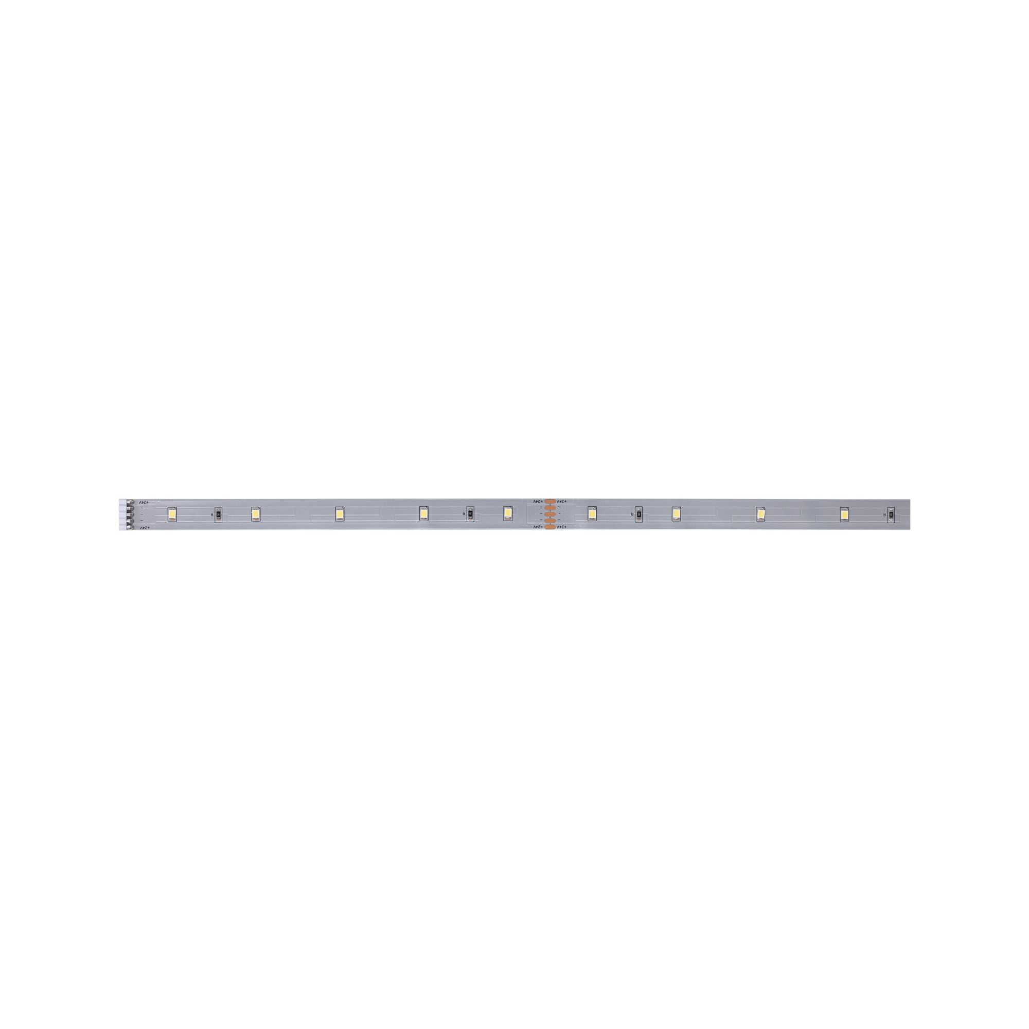 Una lunga striscia luminosa a LED argentata con LED distanziati uniformemente, su sfondo bianco.