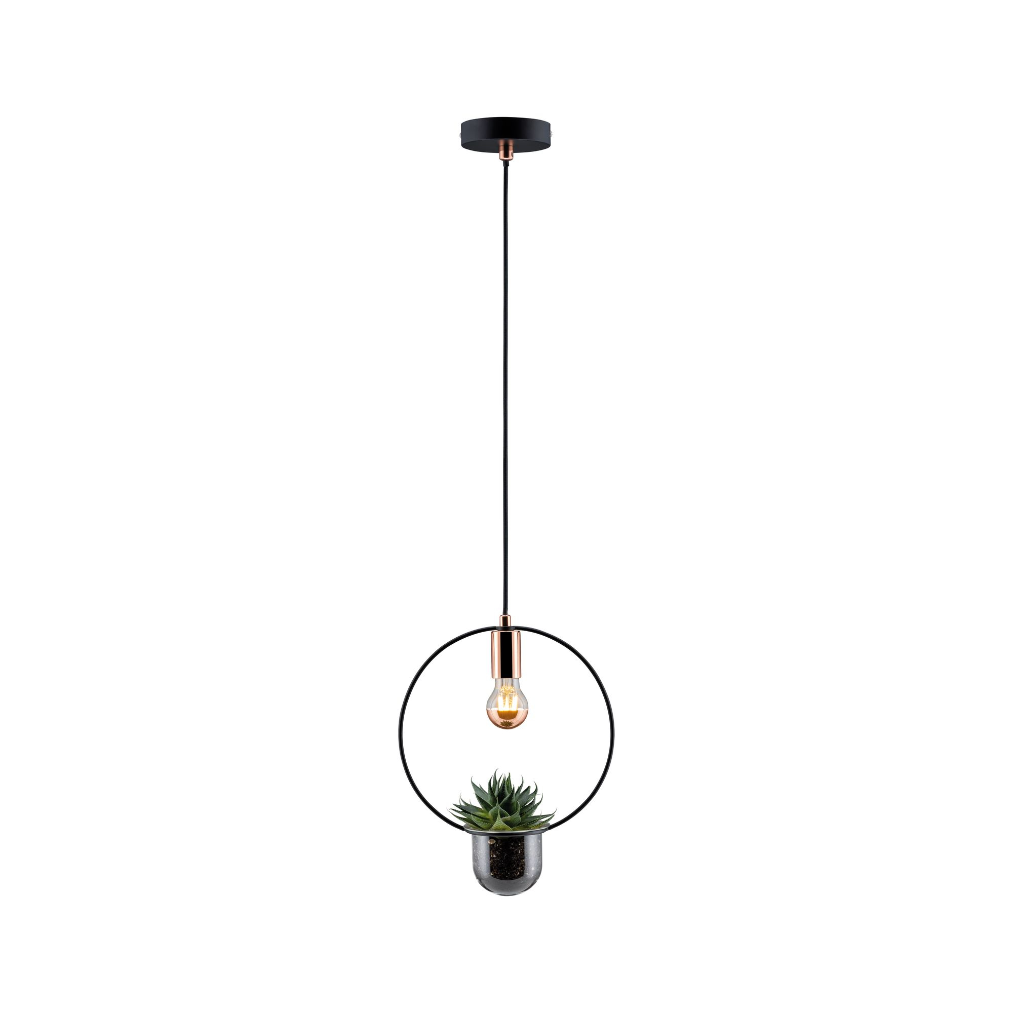 Lampa wisząca z czarną ramą i doniczką z małą rośliną w środku.