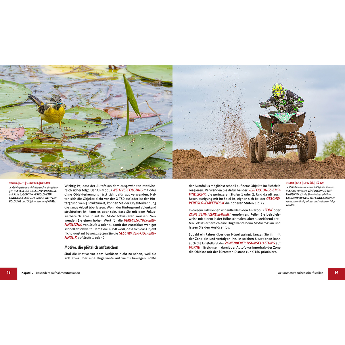Eine Magazinseite mit Text und einem Foto eines Vogels auf Wasser und eines Quad-Bike-Fahrers.
