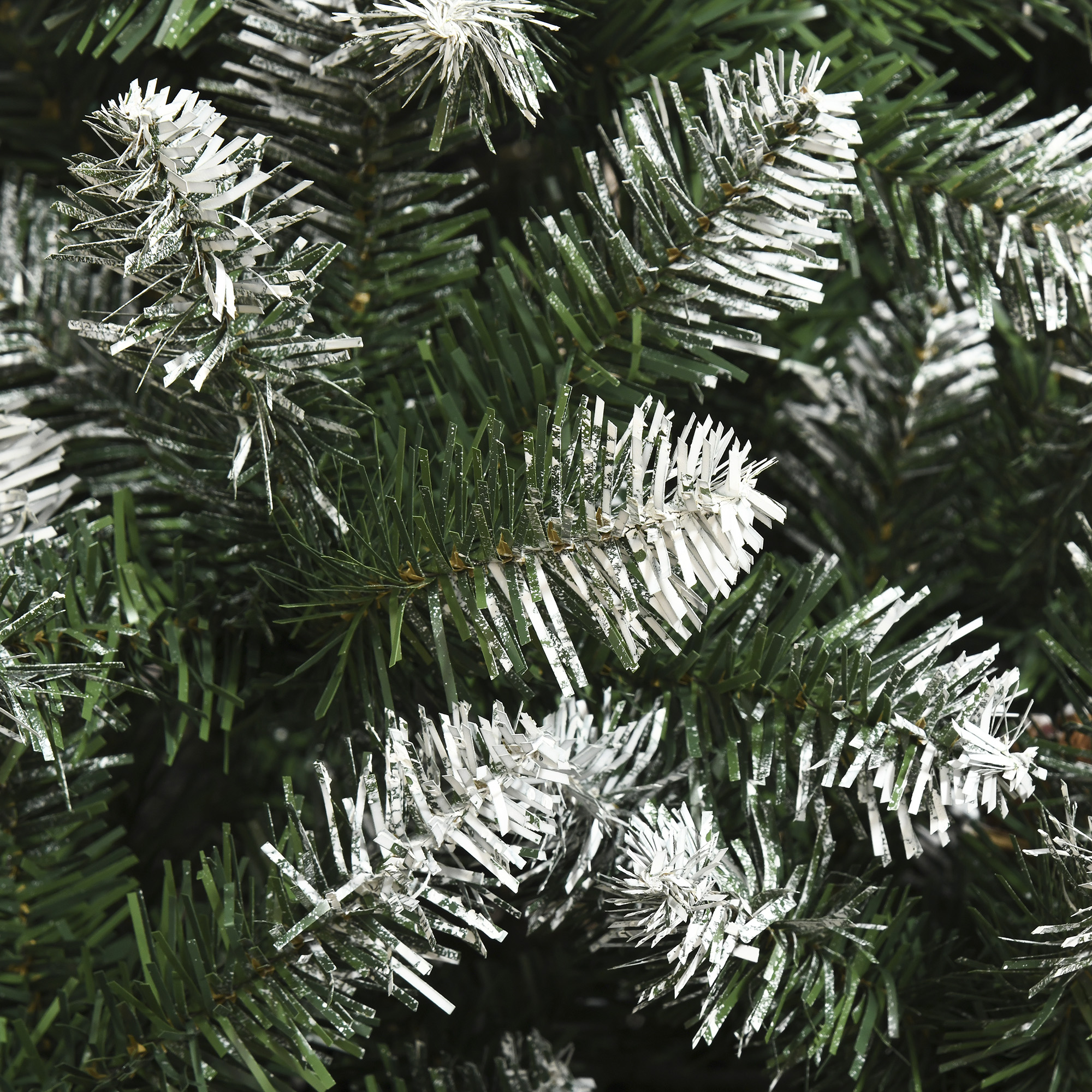 Primer plano de un árbol de Navidad verde con puntas blancas escarchadas. Las agujas son densas.