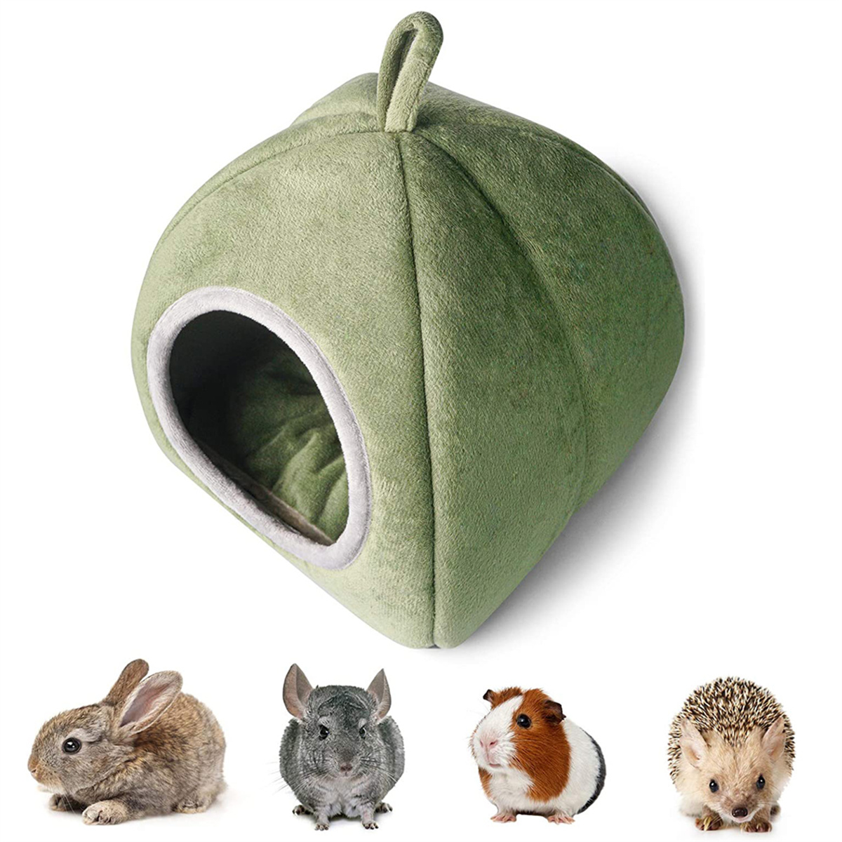 Grünes Haustierbett in Form einer Kuppel. Kleintiere wie Kaninchen, Chinchilla, Meerschweinchen und Igel sind unten abgebildet.