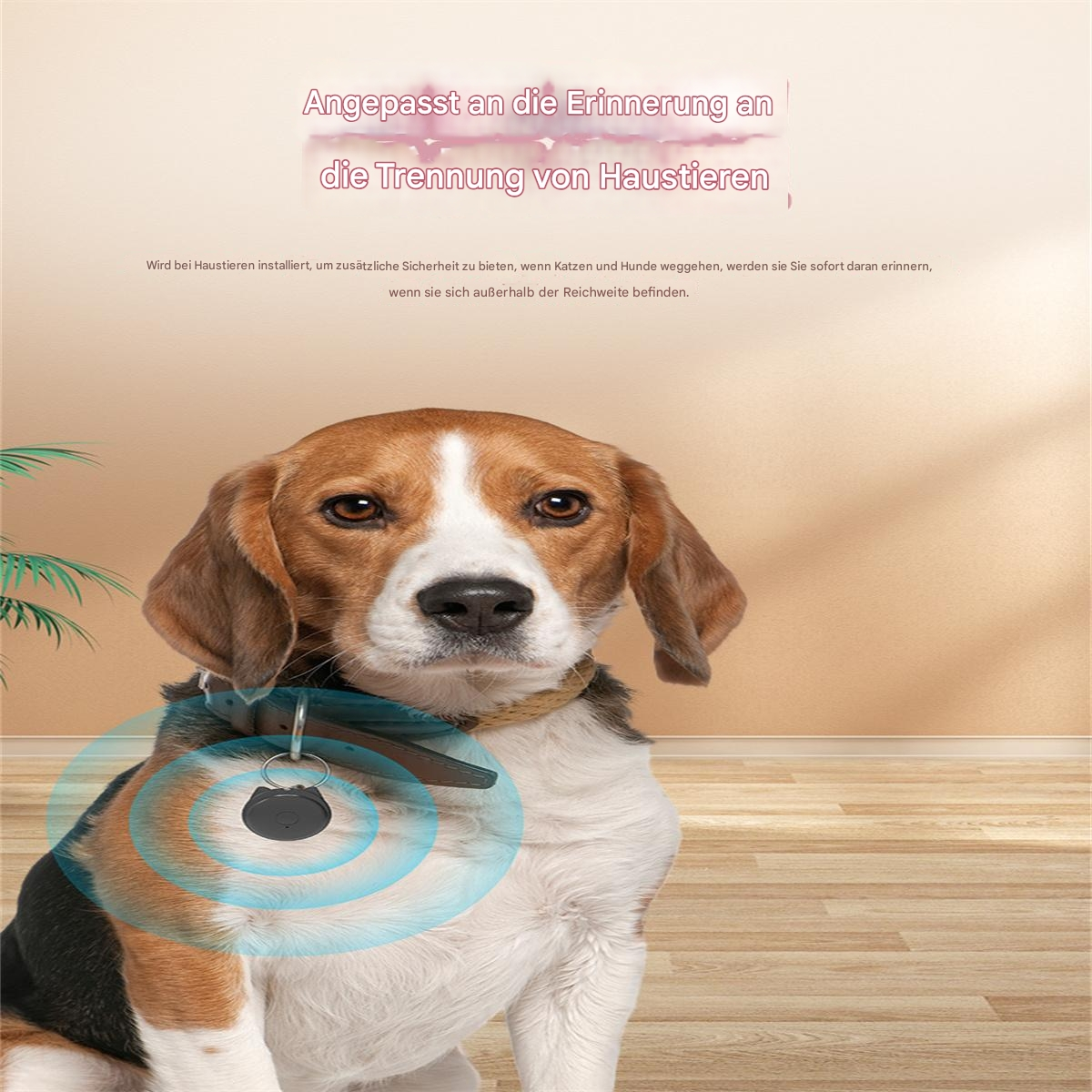 Beagle-Hund mit schwarzem Halsbandanhänger, Text über die Verfolgung von Haustieren und hellblauem Kreis.