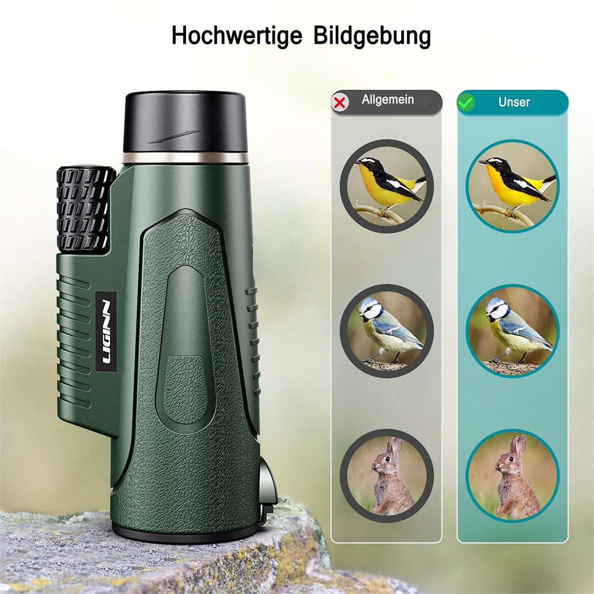 Grünes Fernglas auf einer Steinoberfläche, mit Vogelbildern und Text, der die Bildqualität angibt.