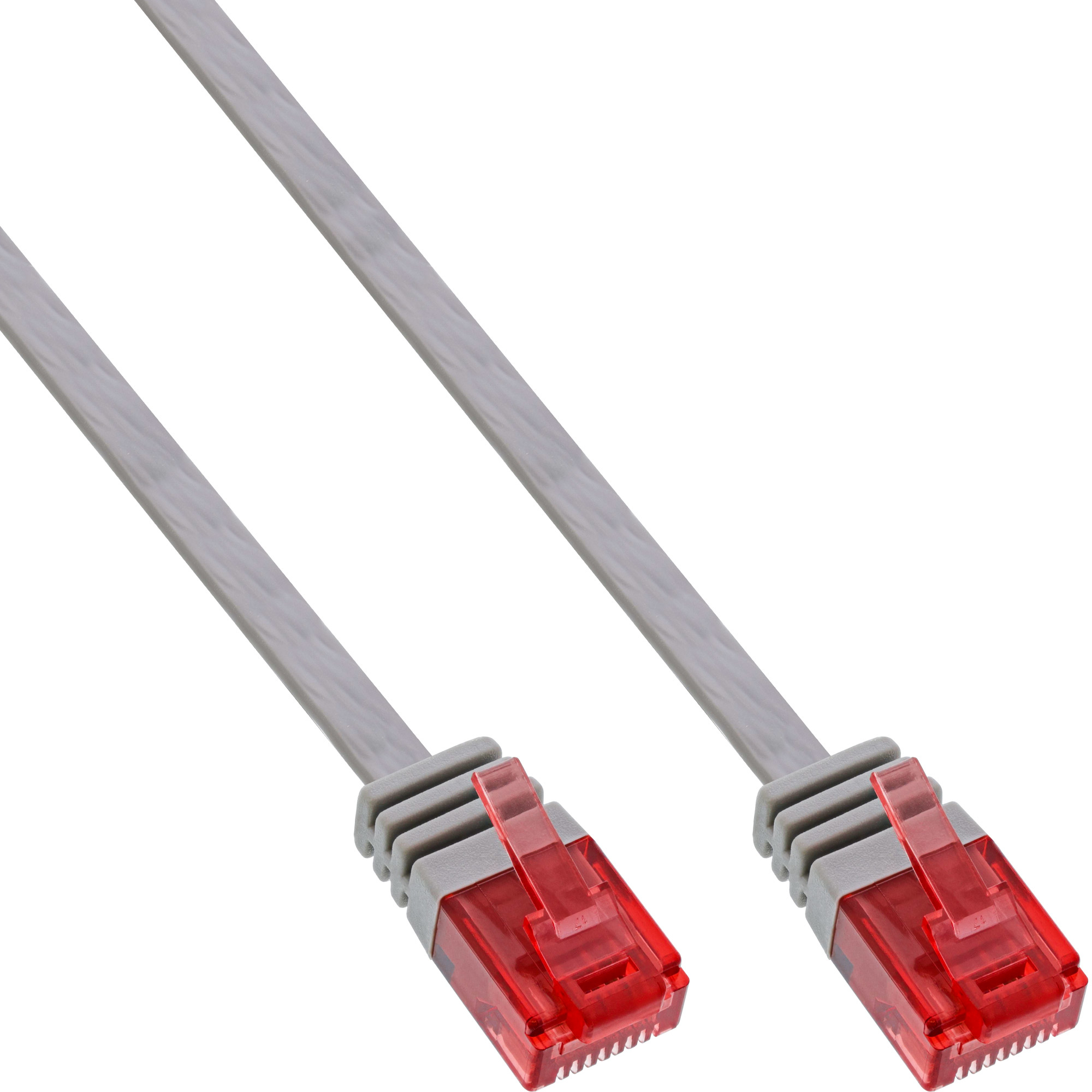 Câble Ethernet gris avec connecteurs rouges. Il est sur un fond blanc.