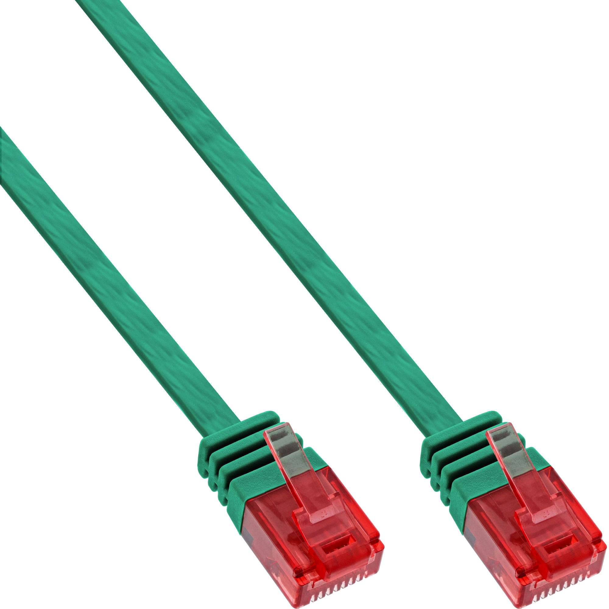 Câble réseau vert avec connecteurs RJ45 rouges sur fond blanc. Le câble est incliné.