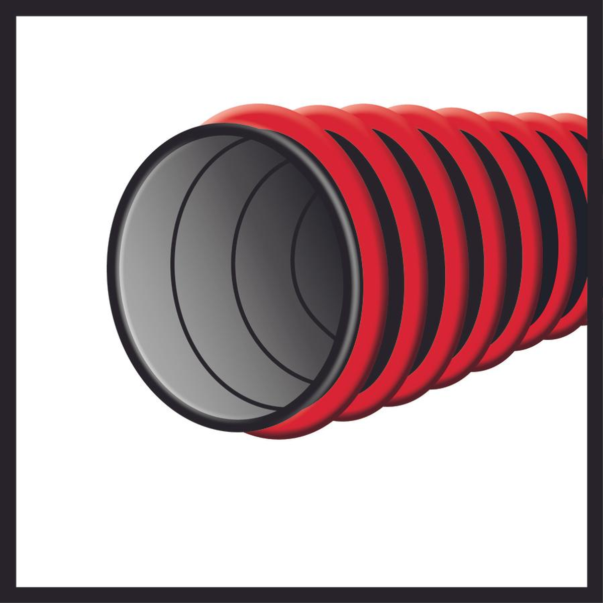 Czerwony wąż falisty z czarnymi paskami, fragment okręgu.