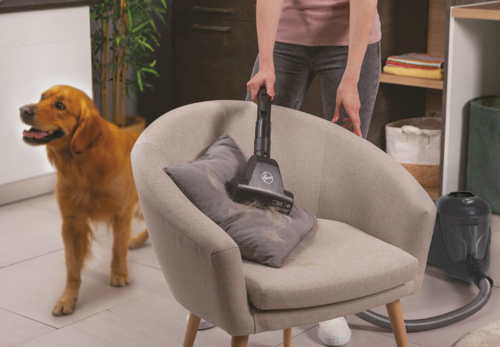A person vacuums a chair with a dog in the background.