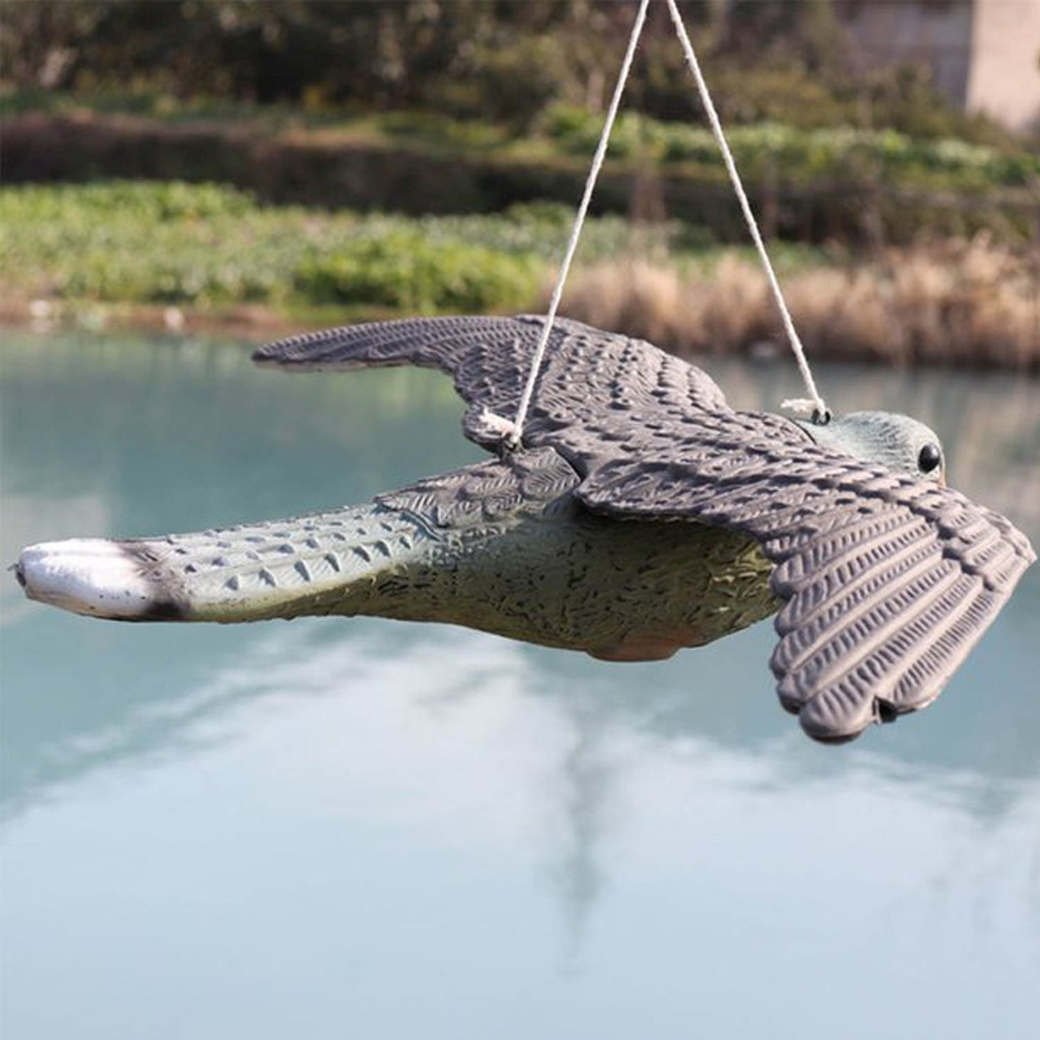Esca per anatra che galleggia sull'acqua. Ha le ali. Lo sfondo è acqua e verde.