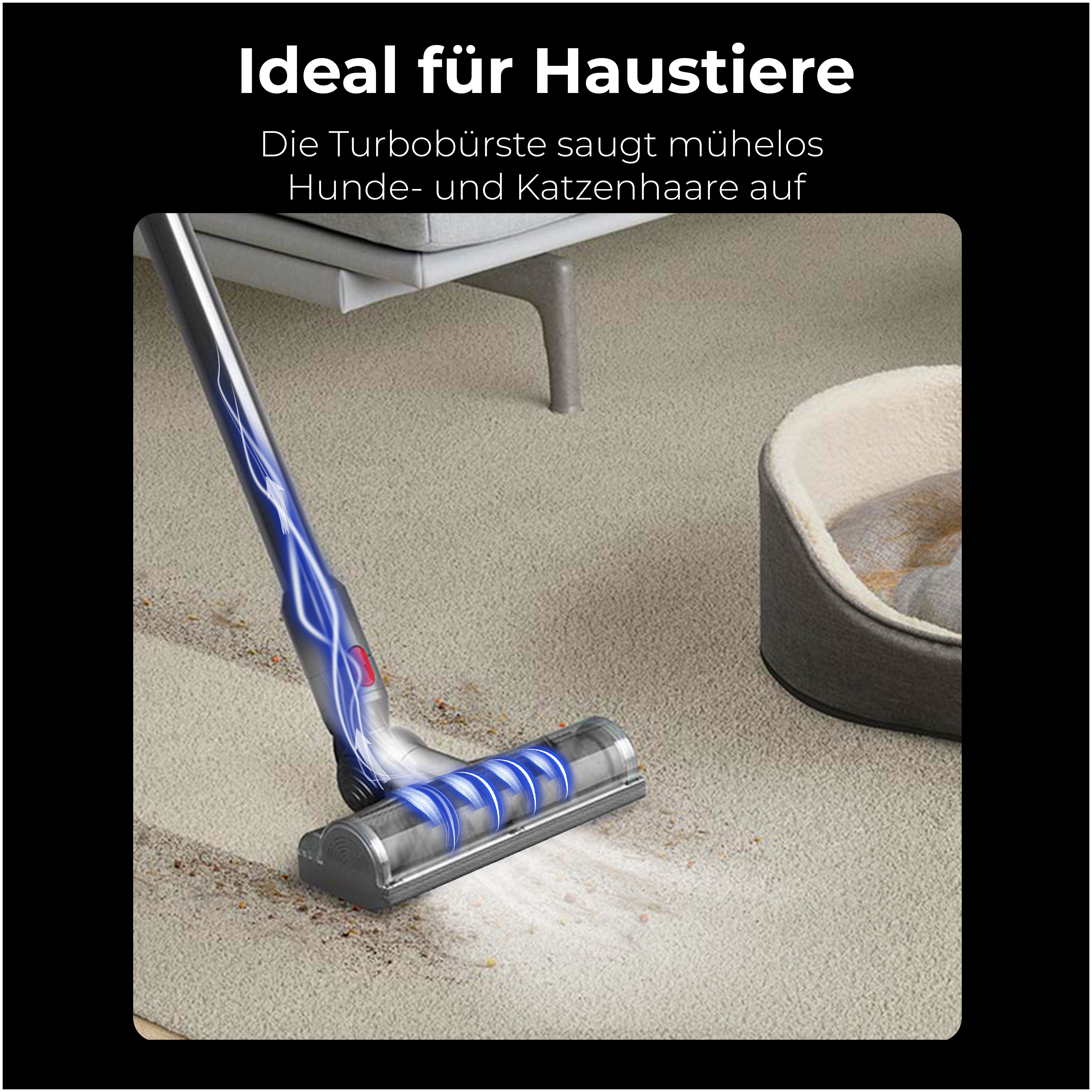 Staubsauger auf Teppich, mit Text 'Ideal für Haustiere'. Ein Haustierbett im Hintergrund.