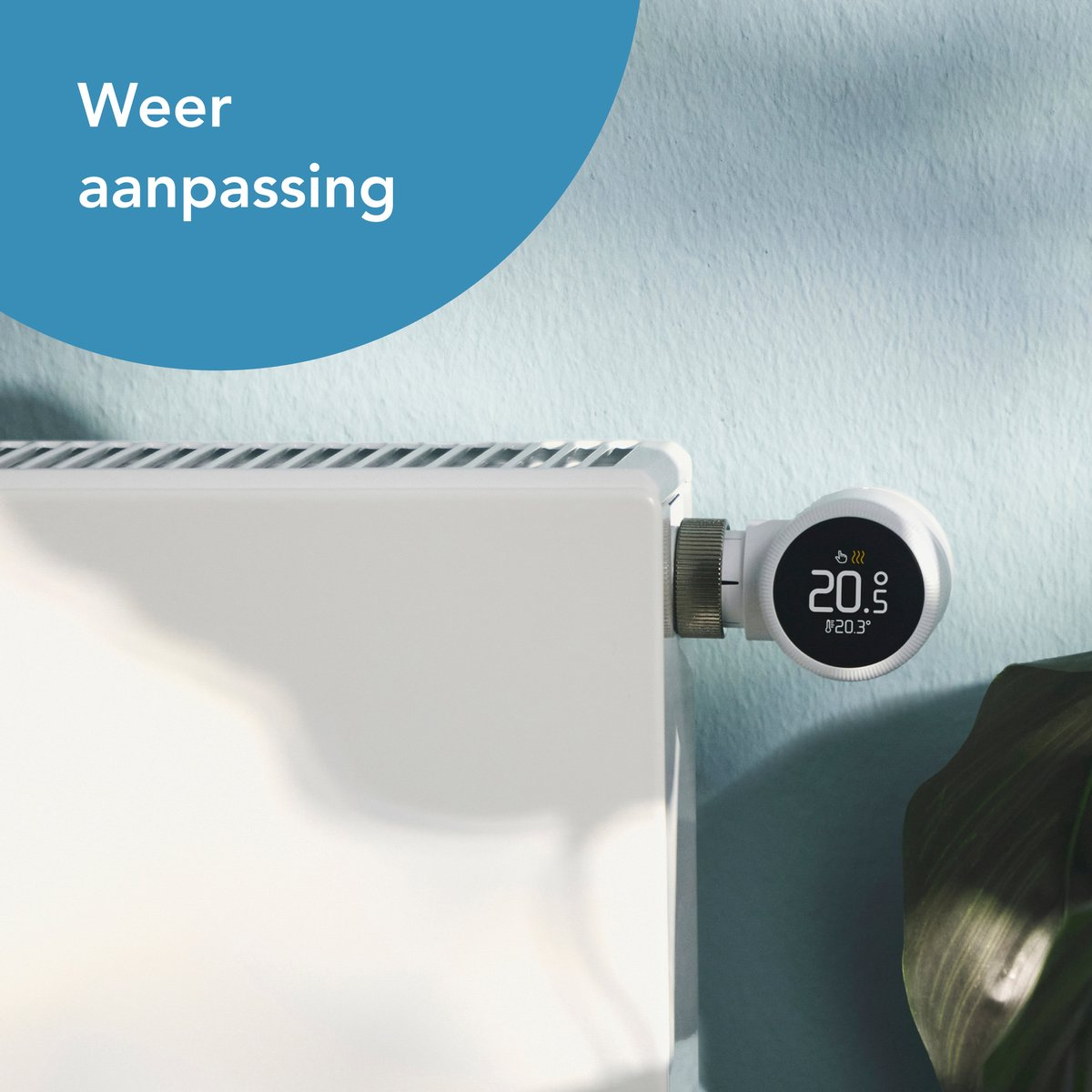 A radiator with a smart thermostat. A plant is to the right.